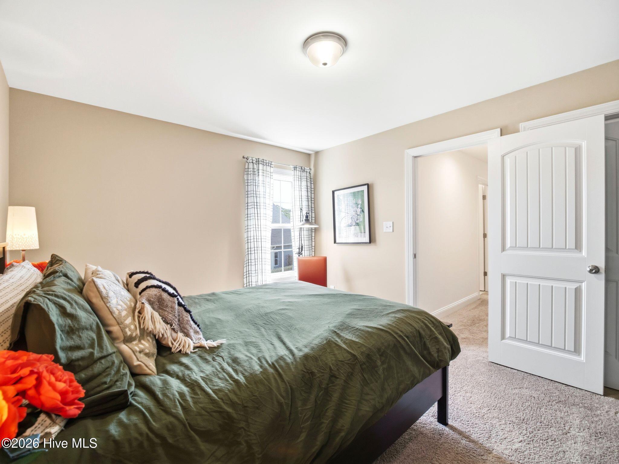 100569153 | Photo 43