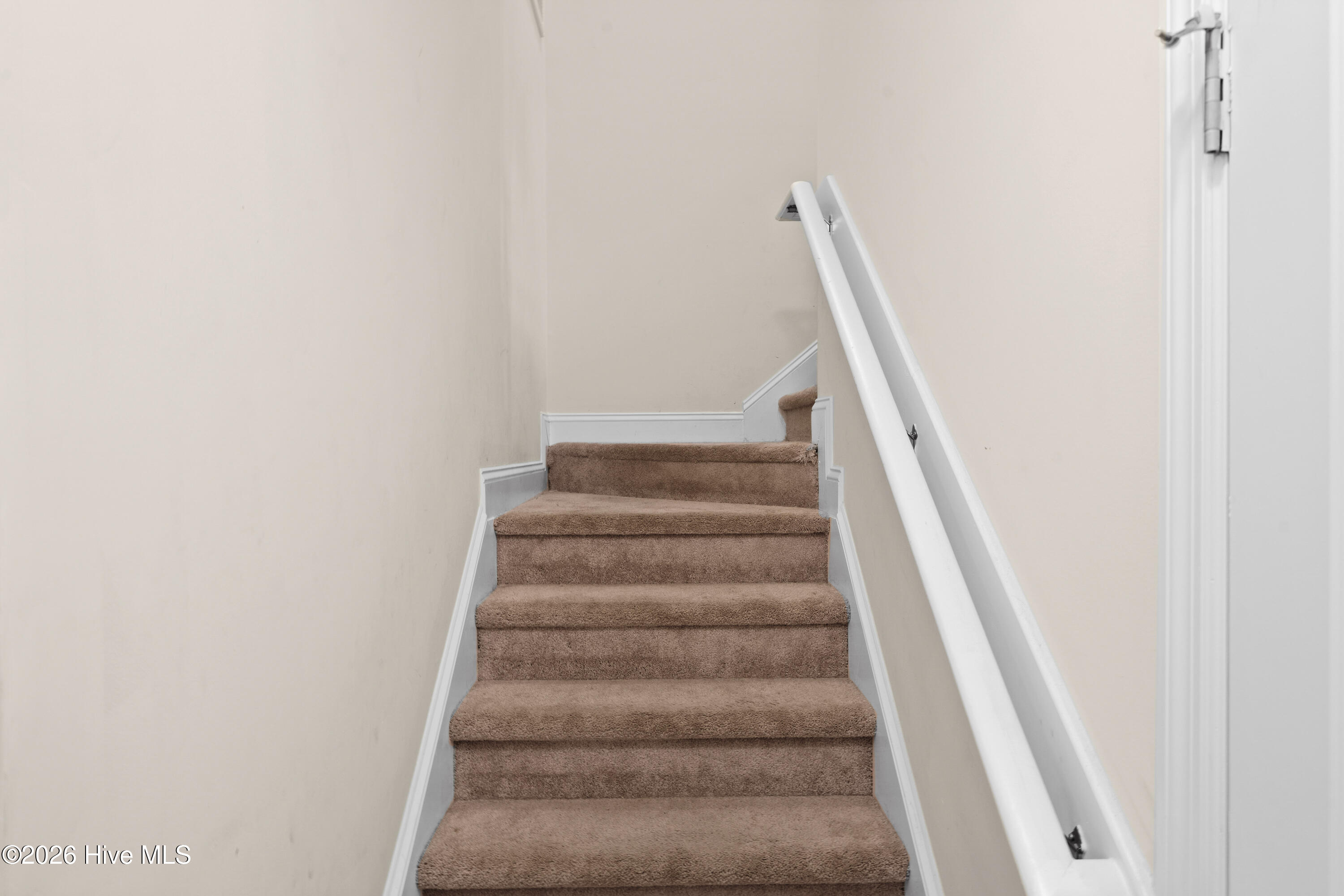 100555595 | Photo 32