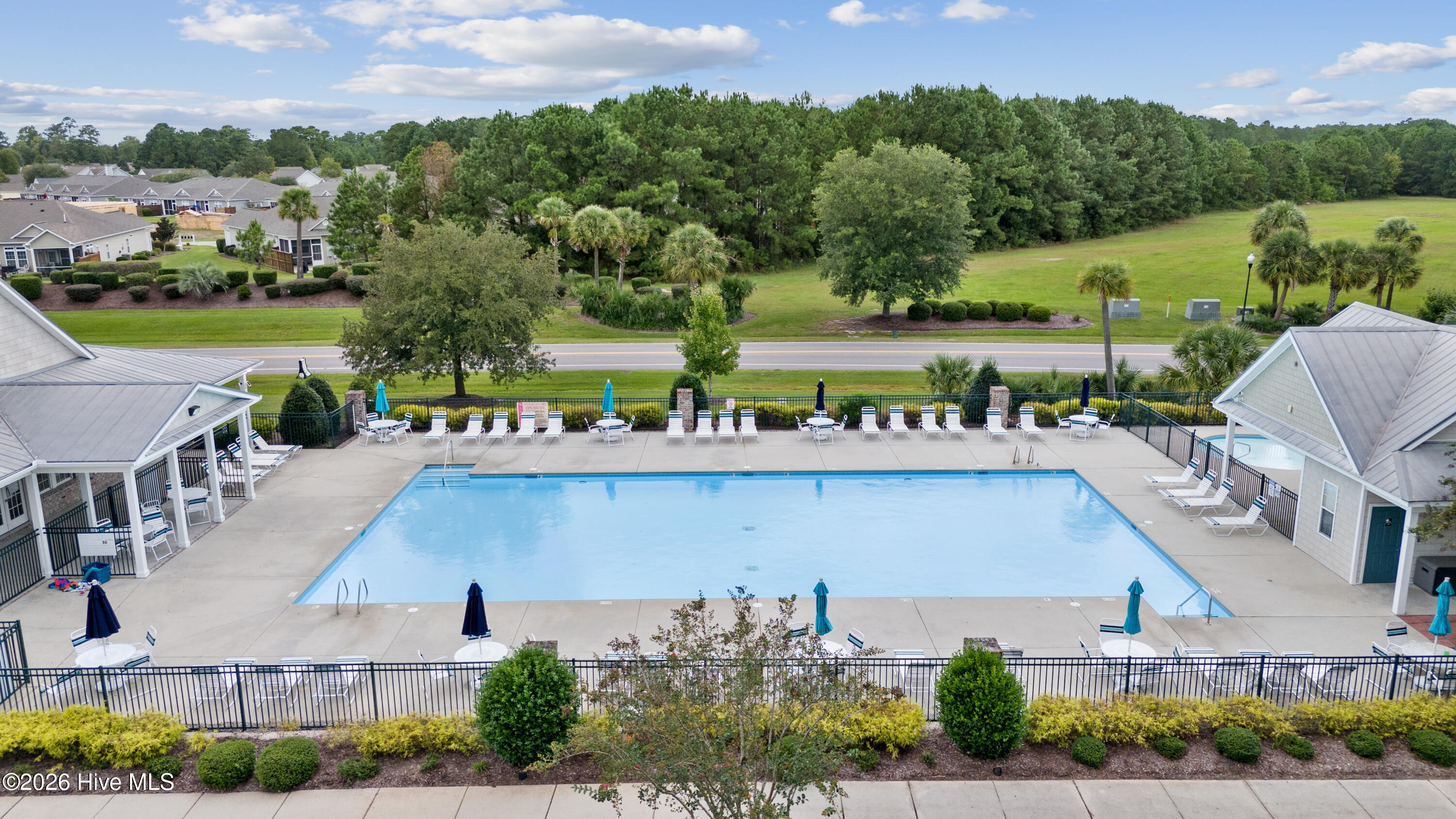 100558195 | Photo 52