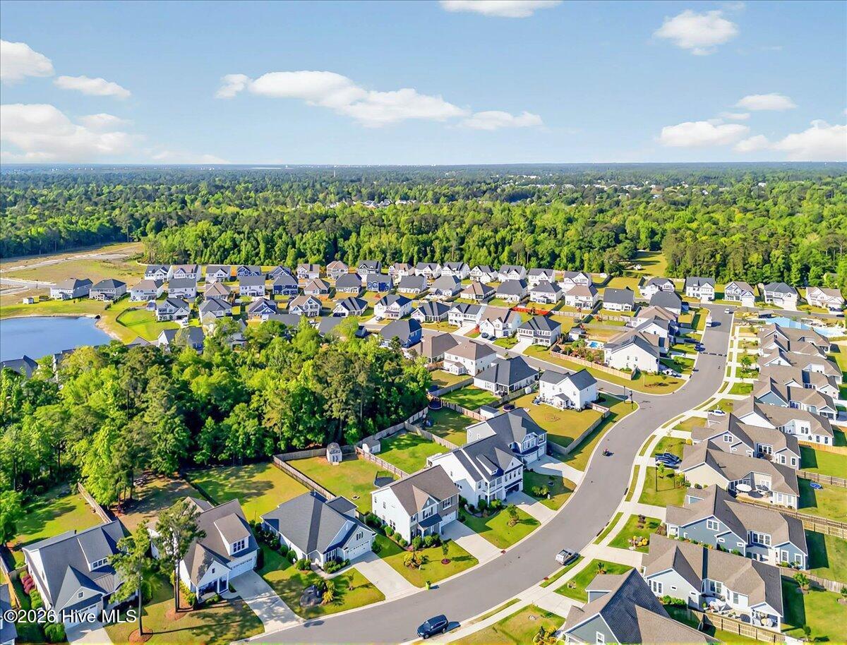 100548253 | Photo 53