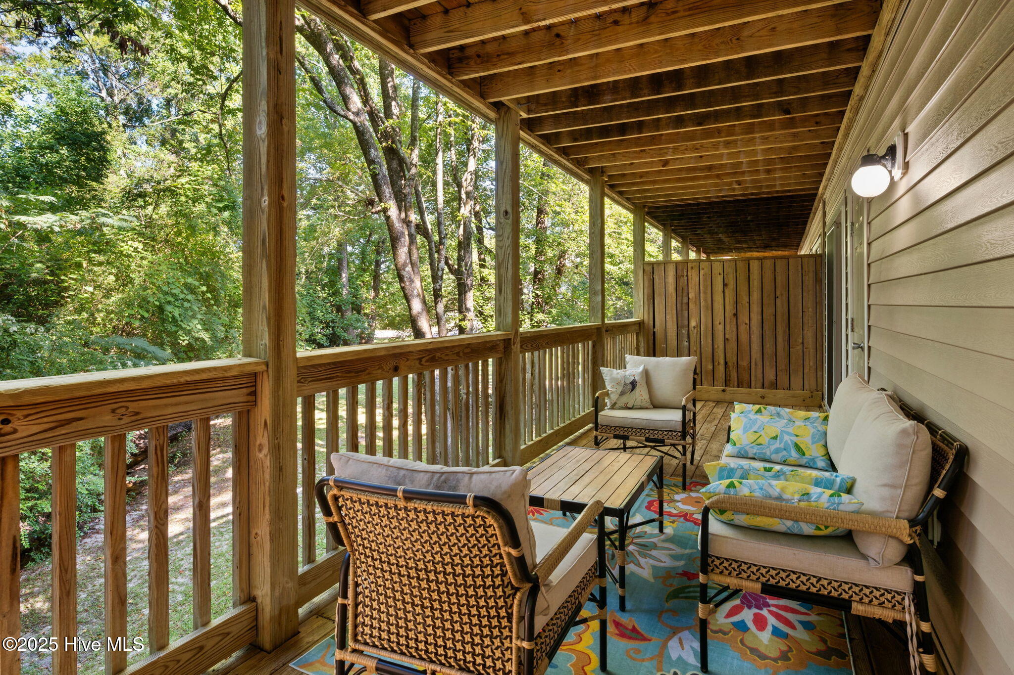 410 Forest Park Road 102, Wilmington, NC 28409 – photo 4: 25-web-or-mls-back deck