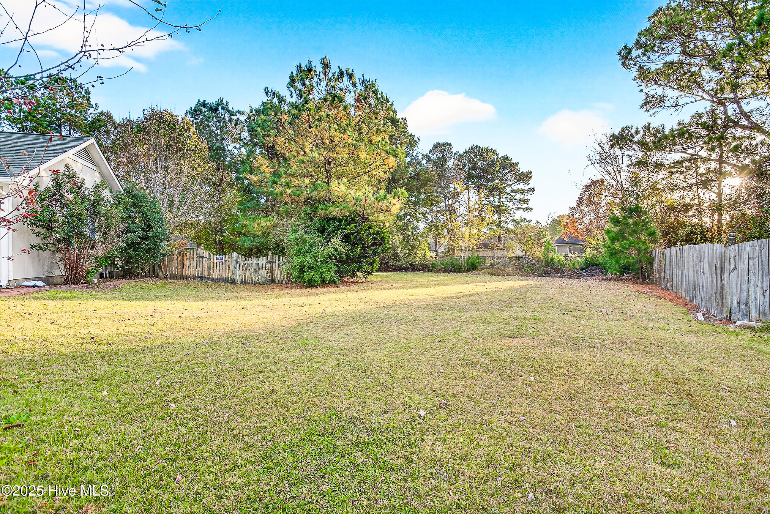 100541143 | Photo 28