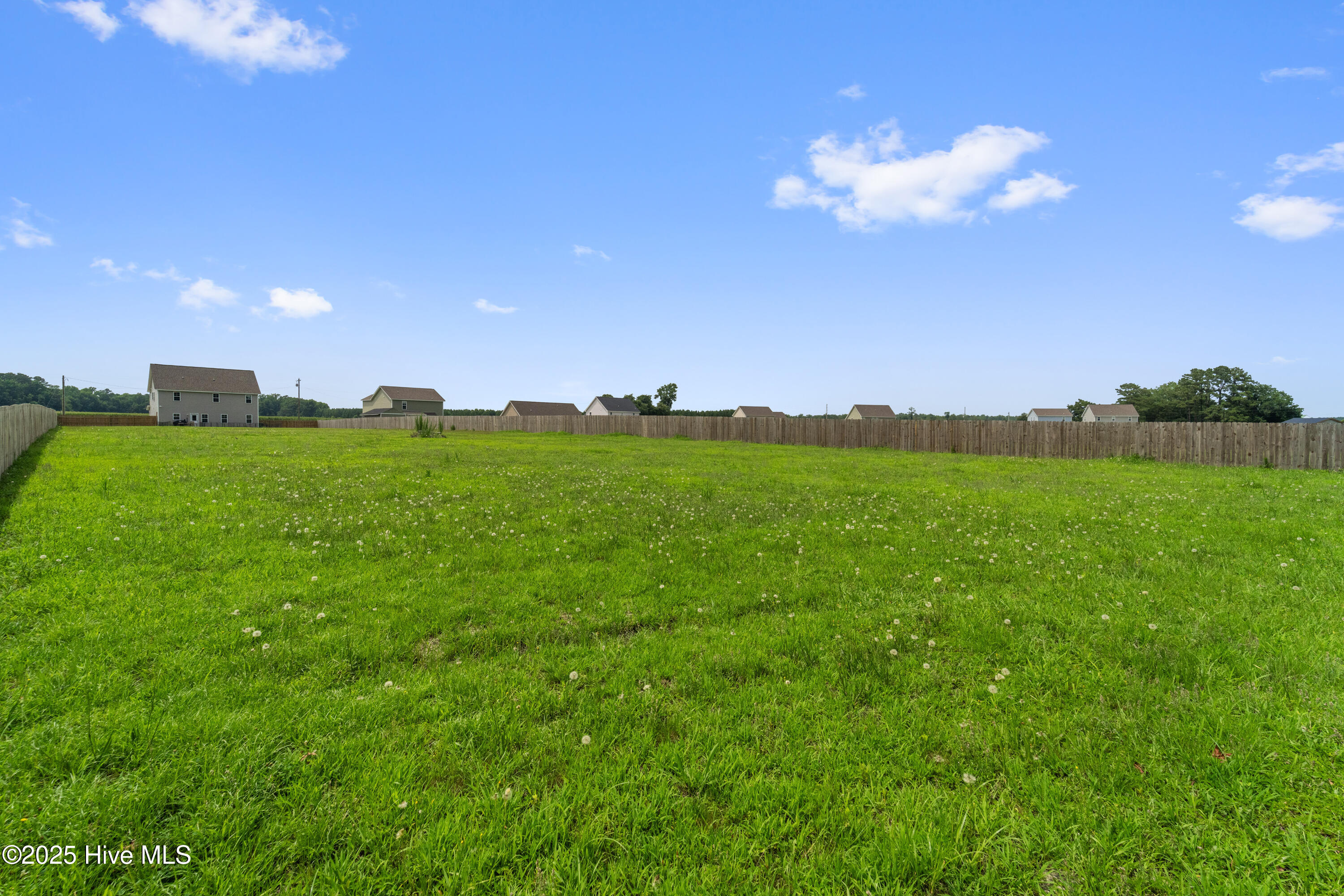 100533820 | Photo 50