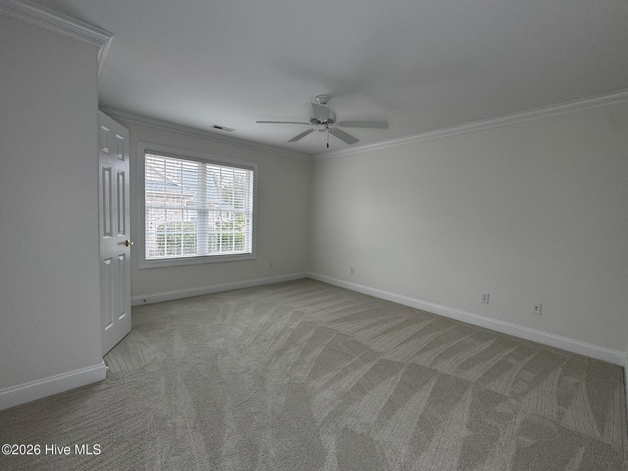 100558874 | Photo 22