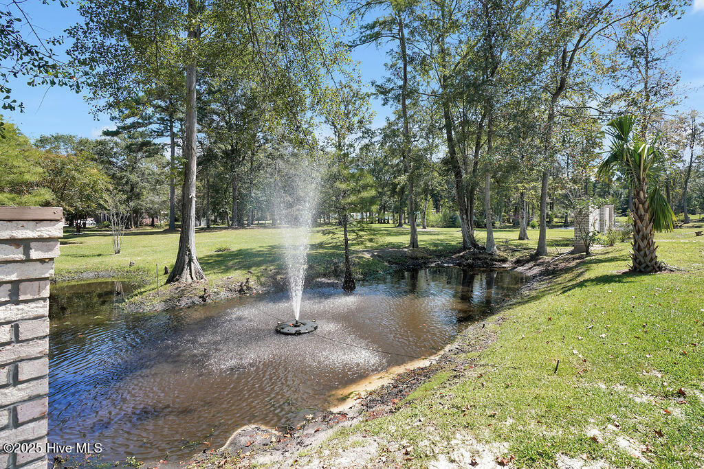 100529552 | Photo 55