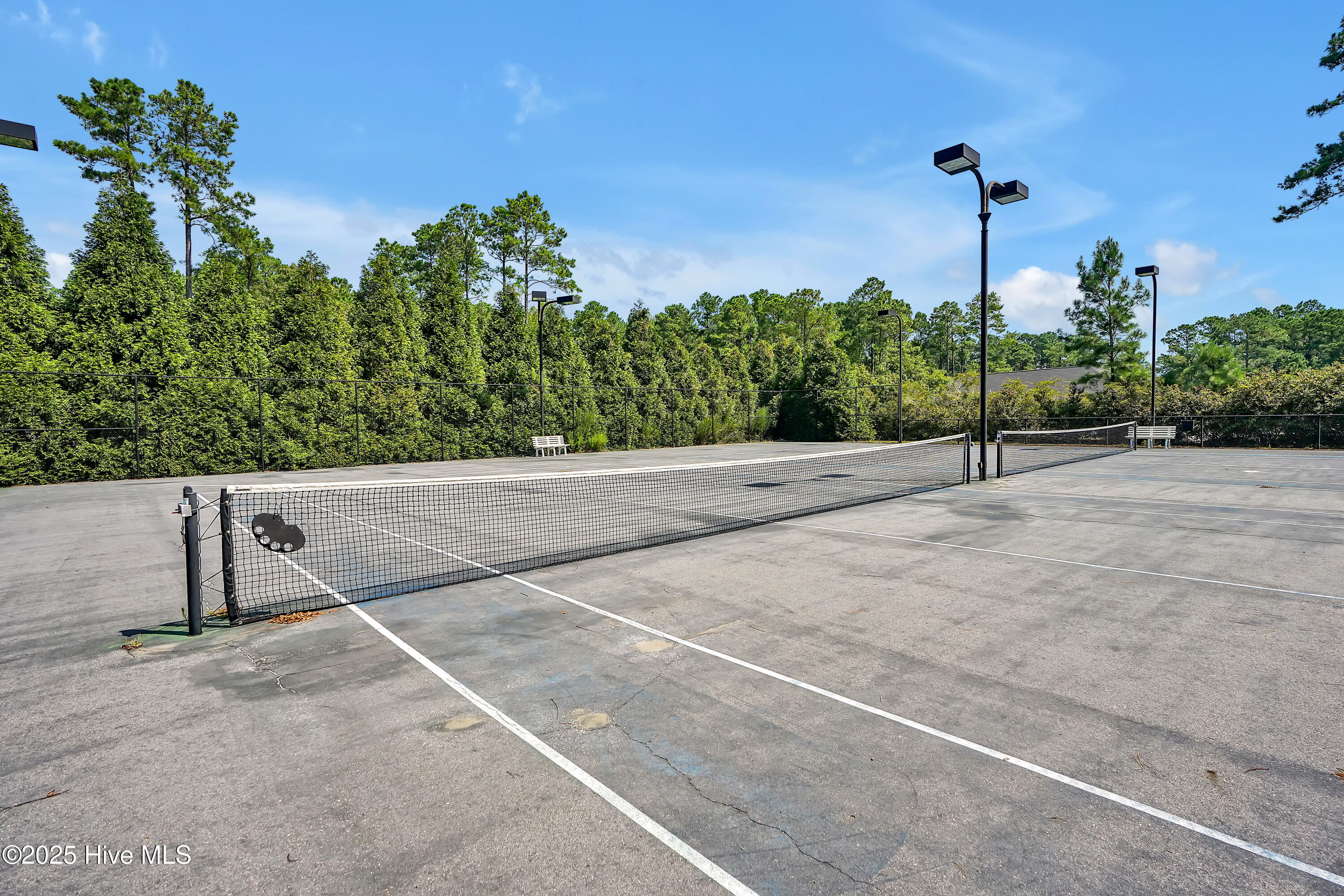 100543304 | Photo 45