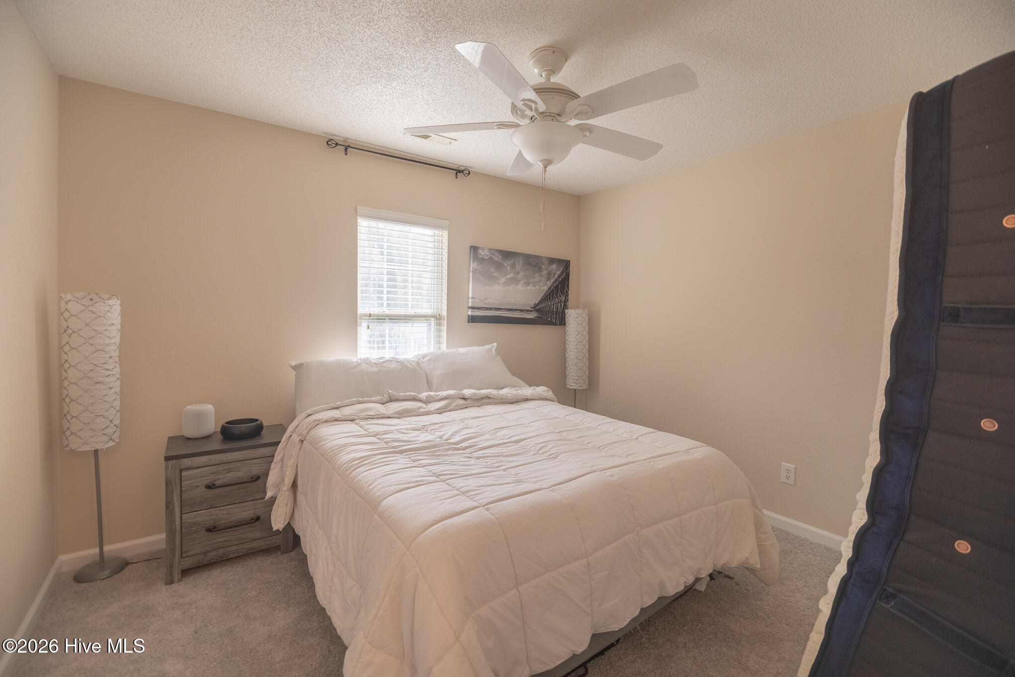 100553008 | Photo 16