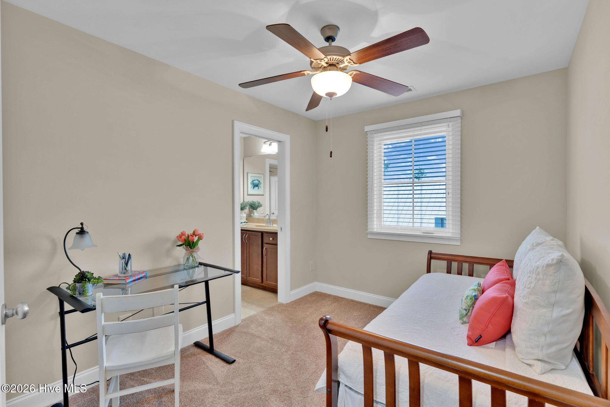 100556284 | Photo 34