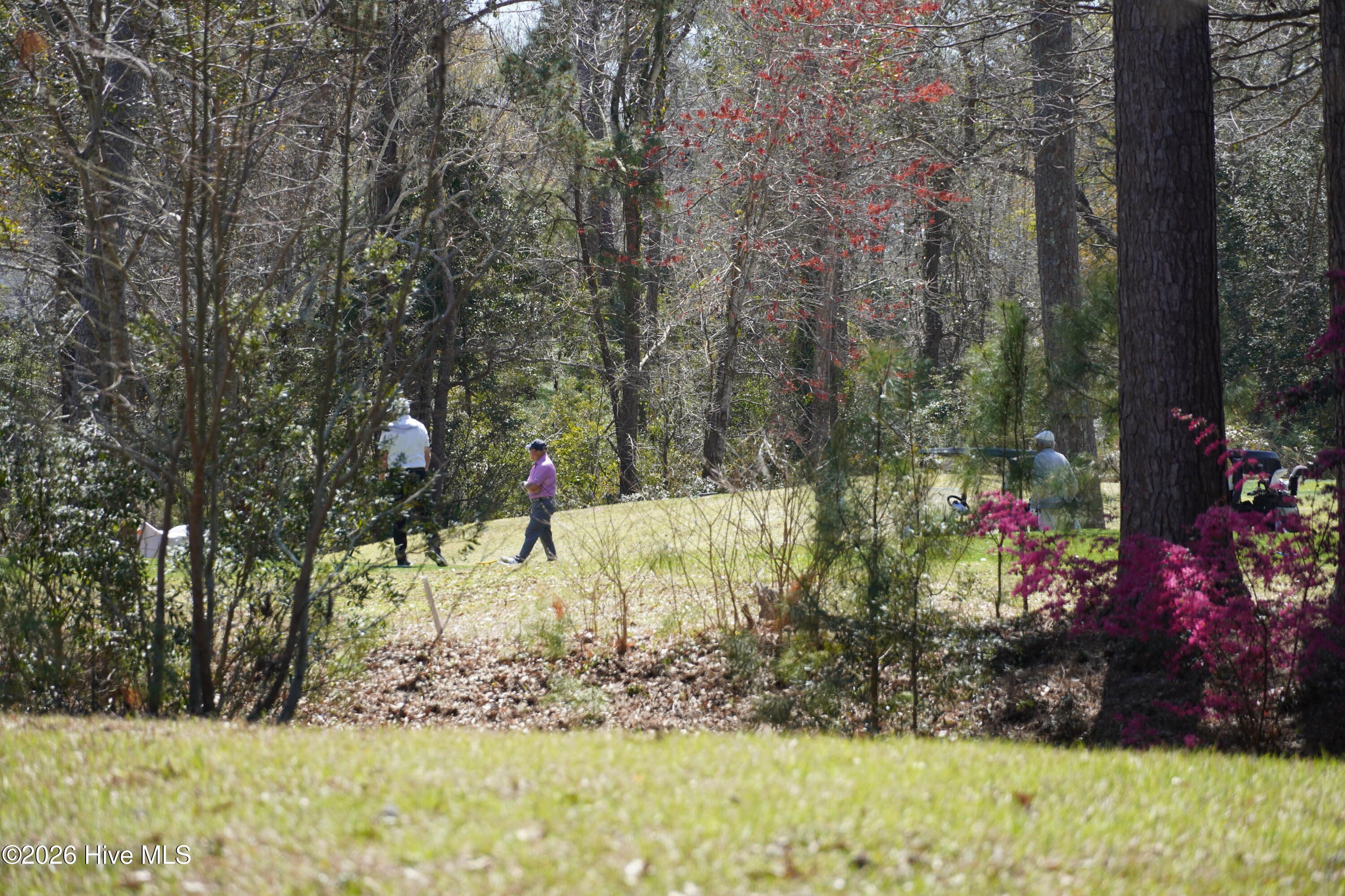 100564752 | Photo 14