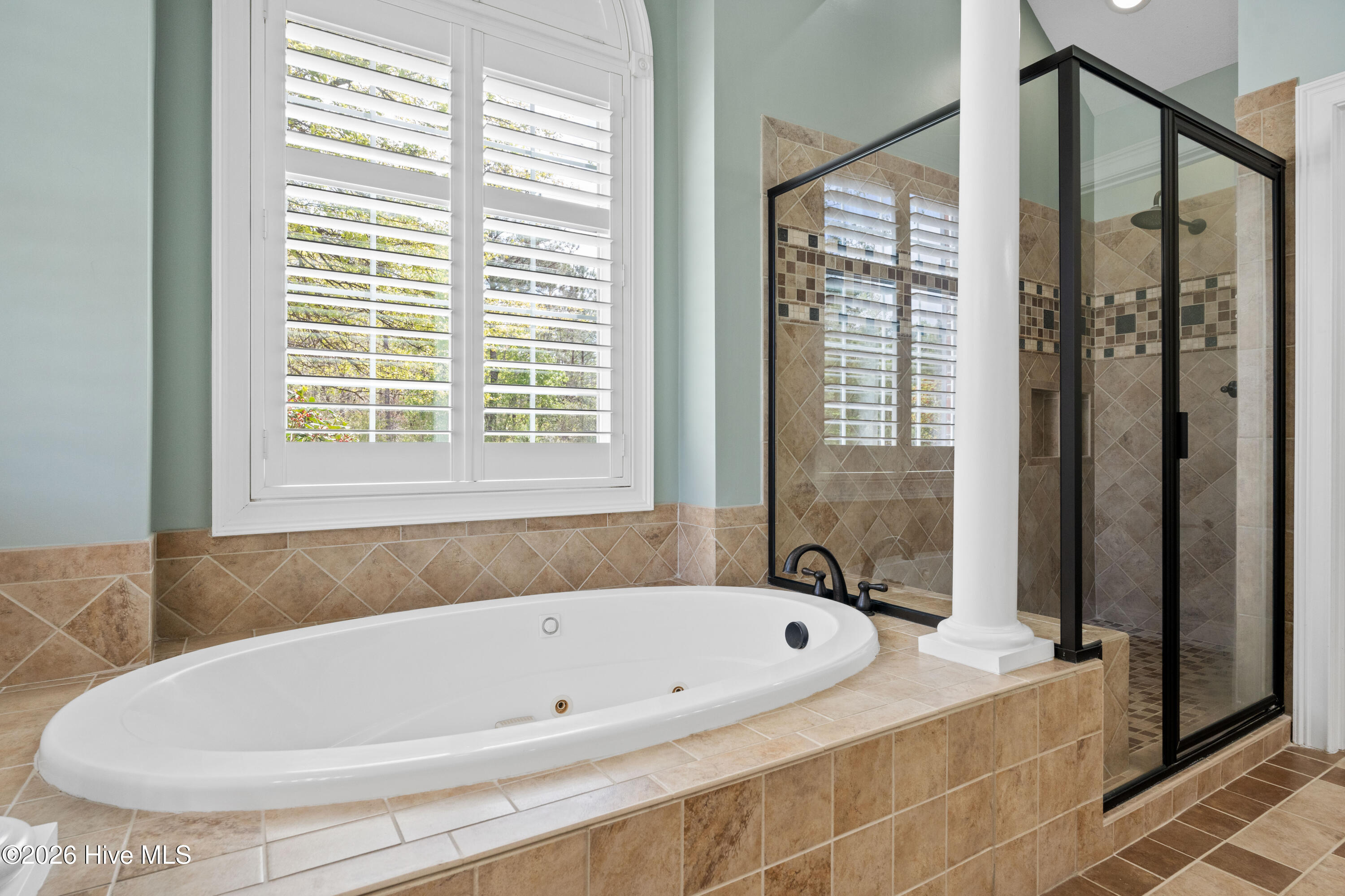 100565289 | Photo 39