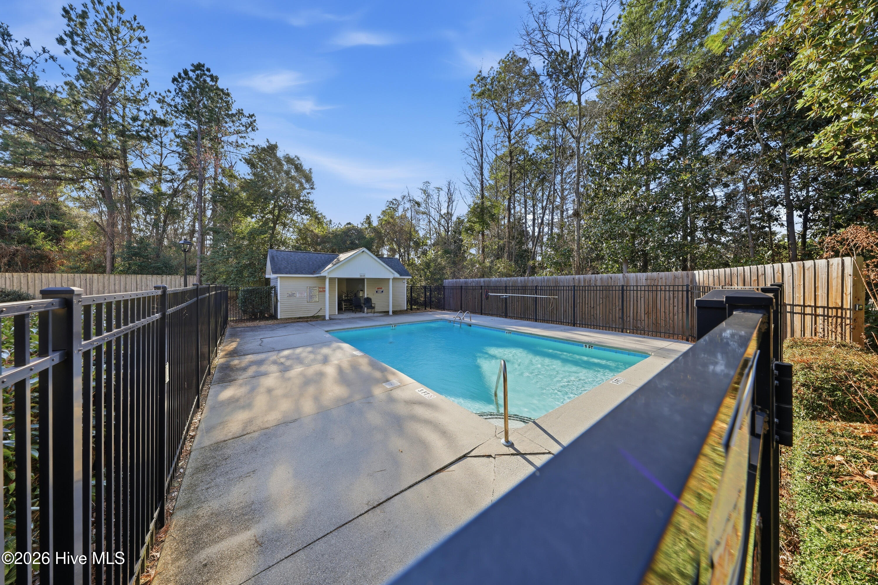 100557540 | Photo 45