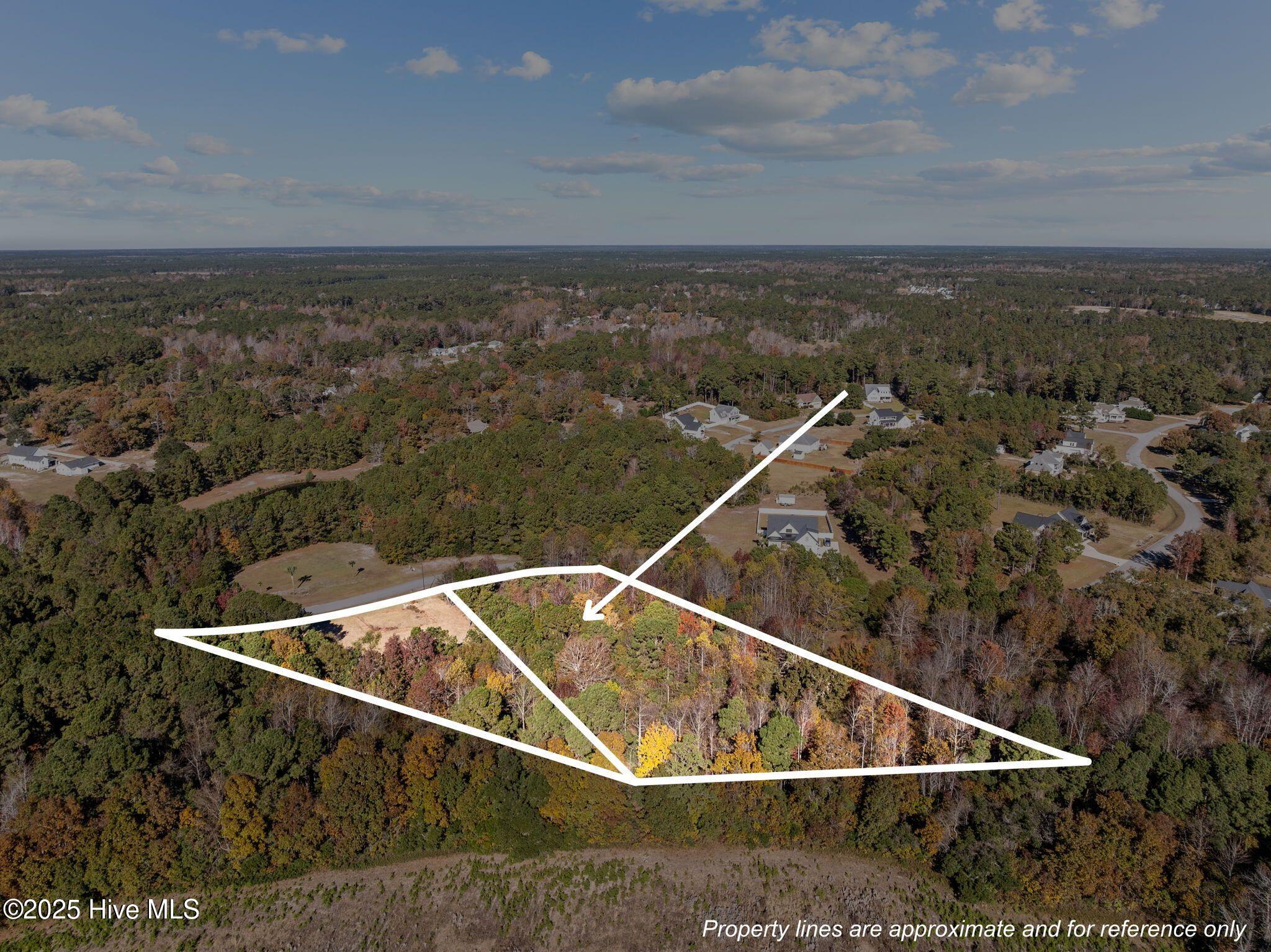 100542107 | Photo 12