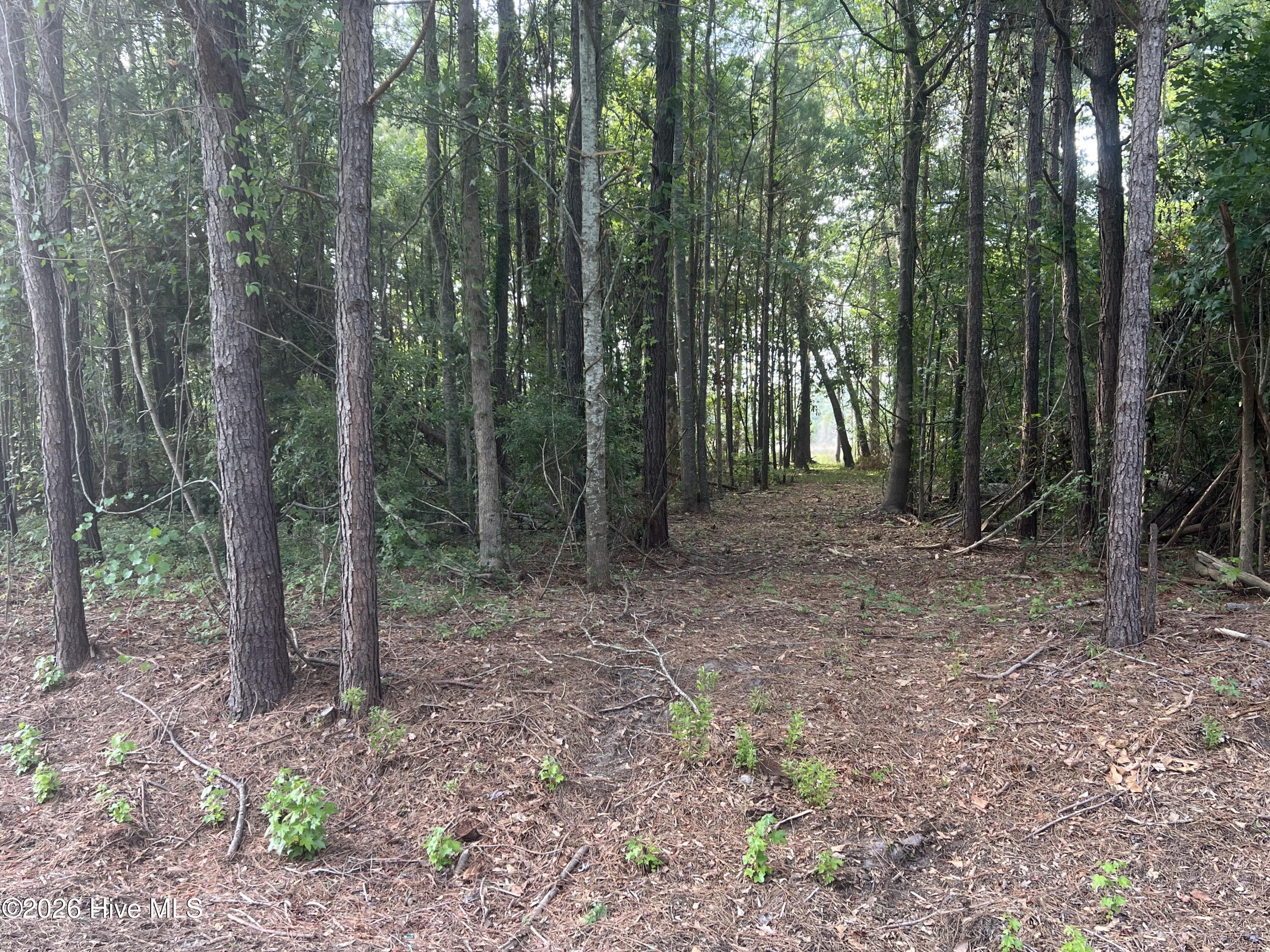 Recently opened up the roadside and trails with a forestry mulcher.