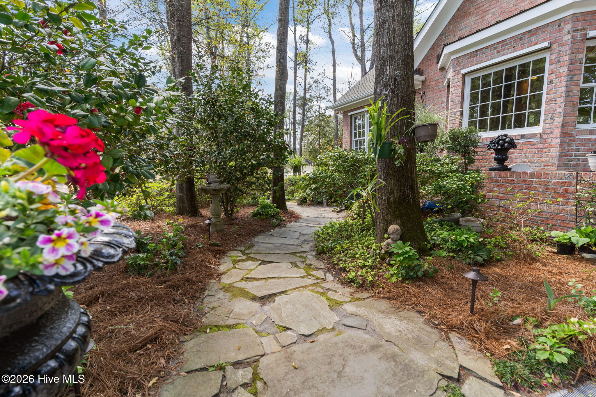 100564418 | Photo 42