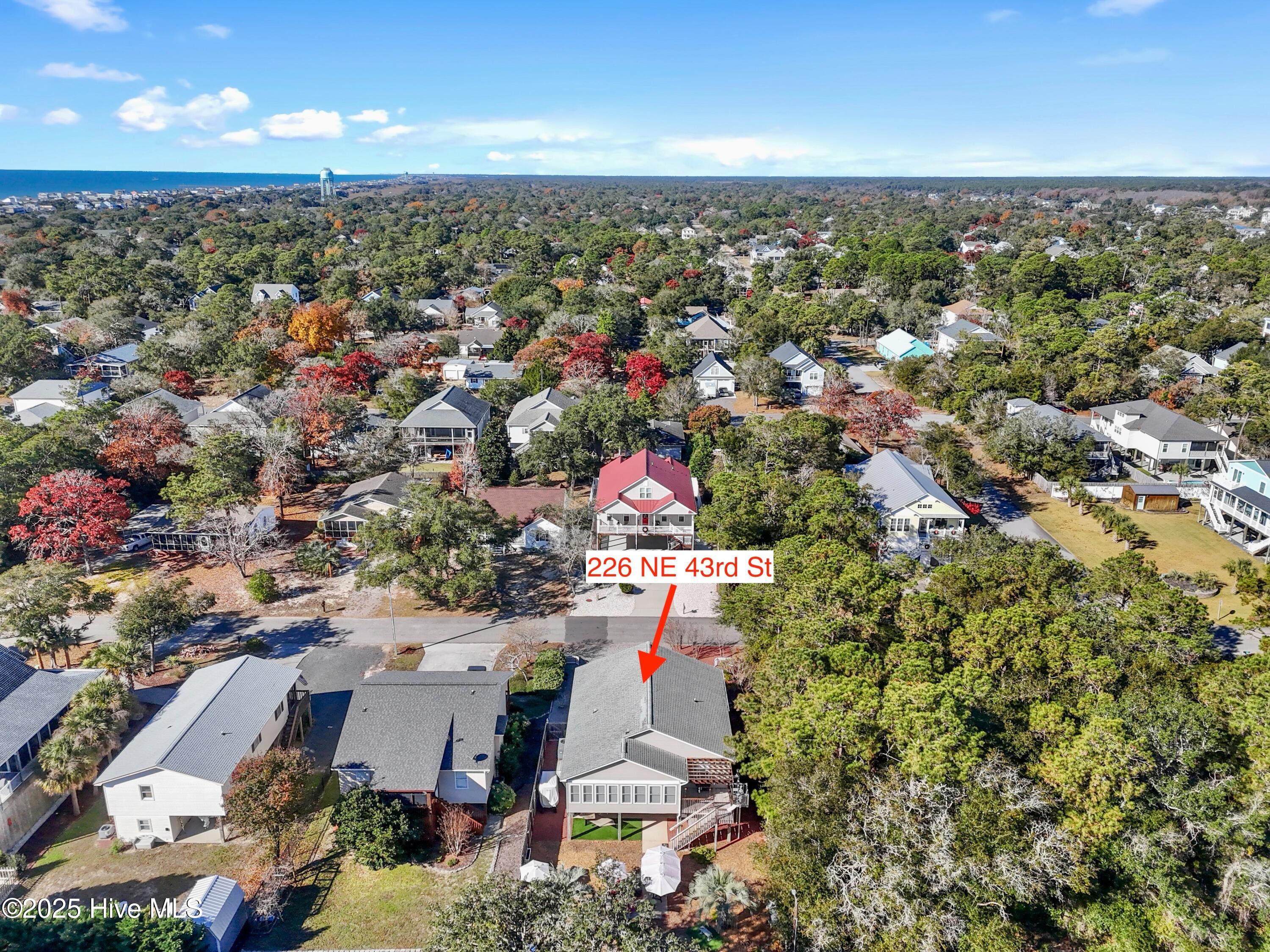 100542990 | Photo 65