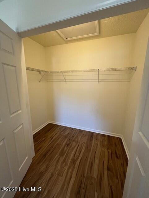 100539070 | Photo 23