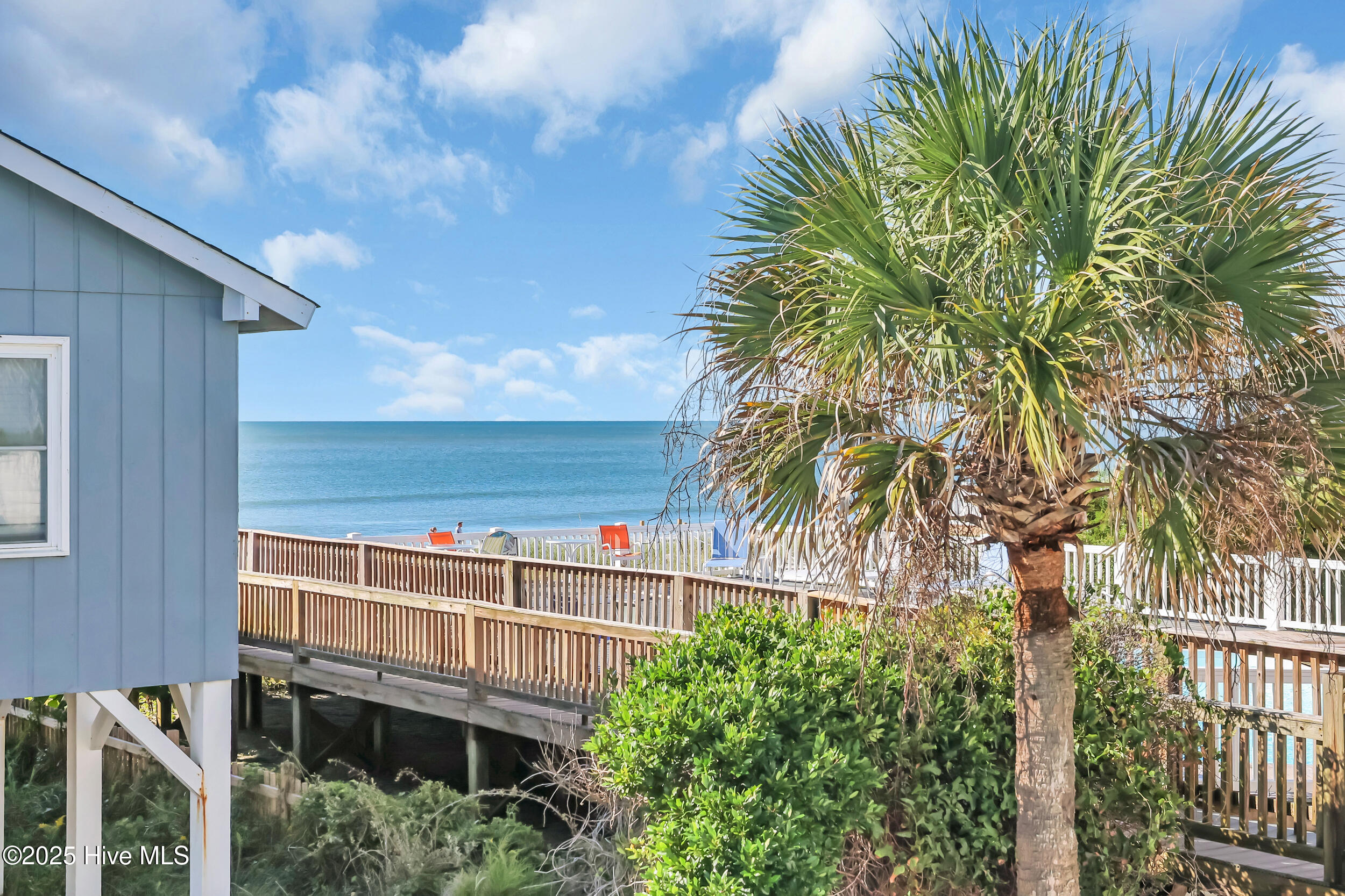 100536286 | Photo 51