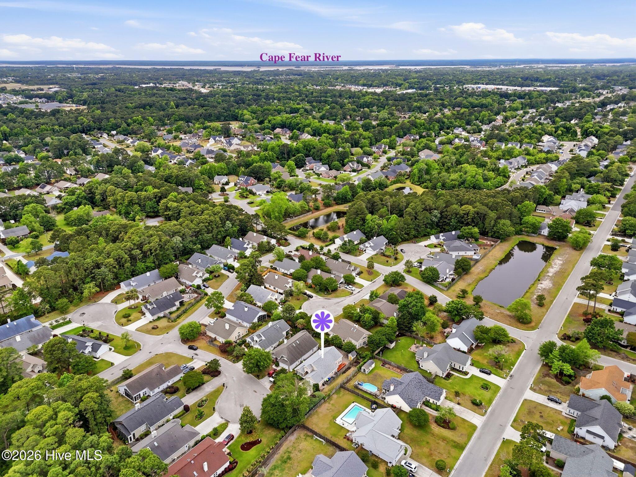 100560677 | Photo 40