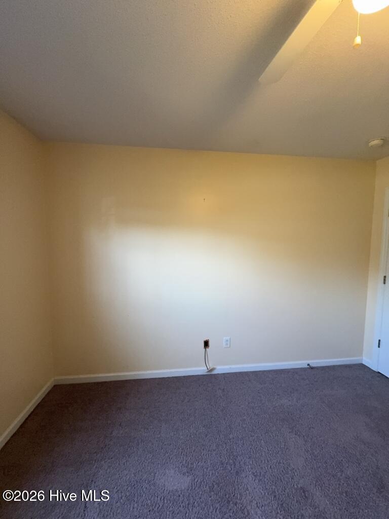 100563532 | Photo 16