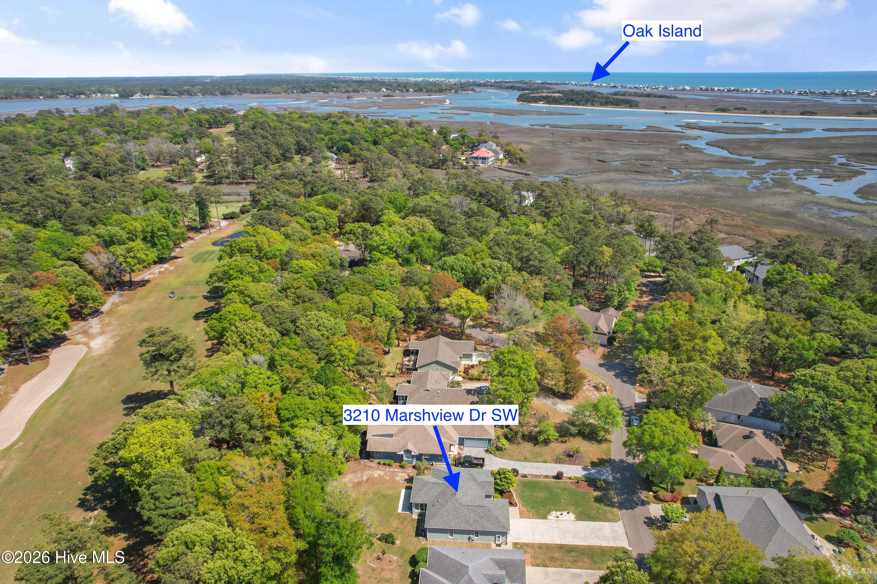 100567872 | Photo 41