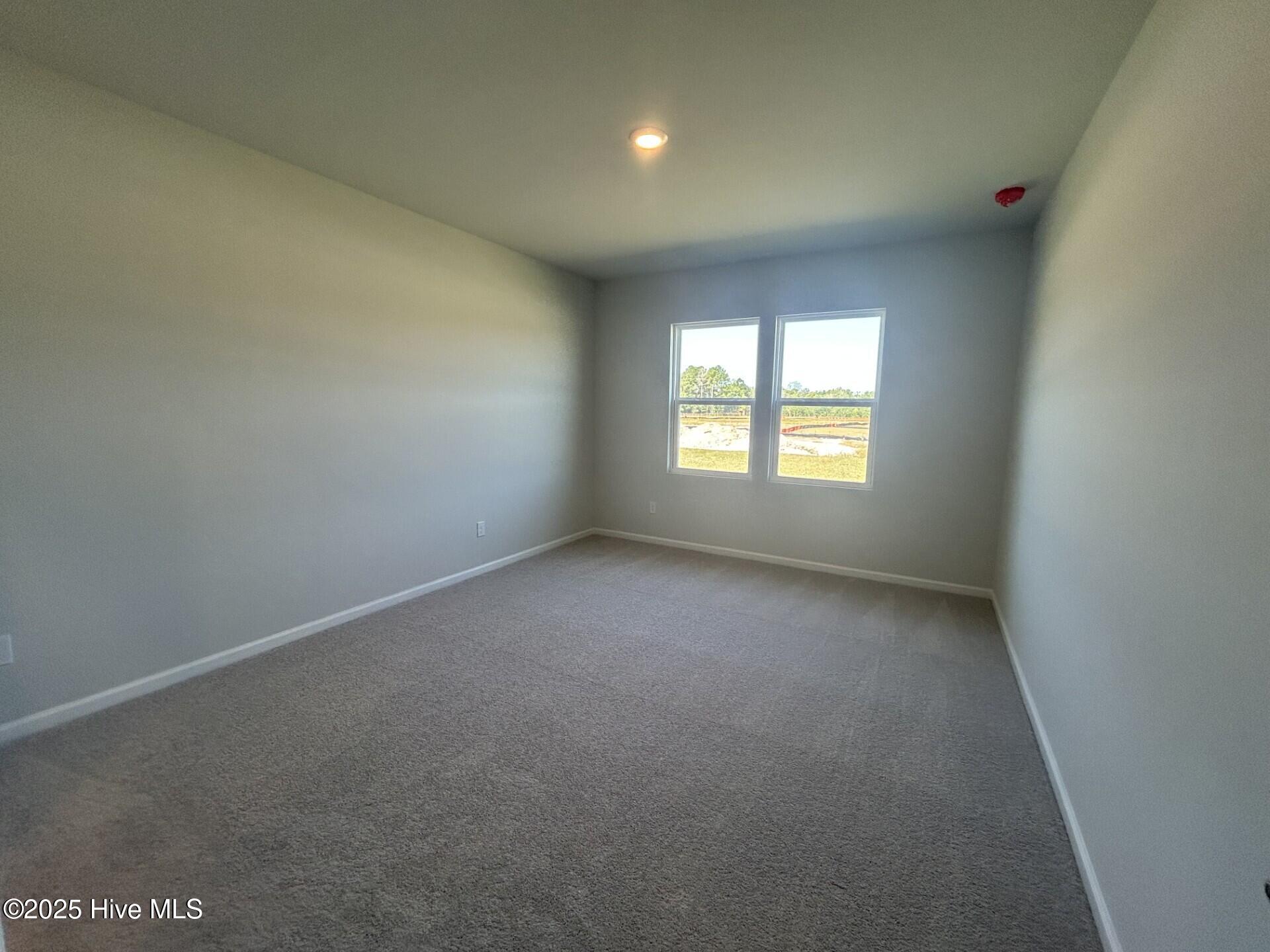 100525039 | Photo 28