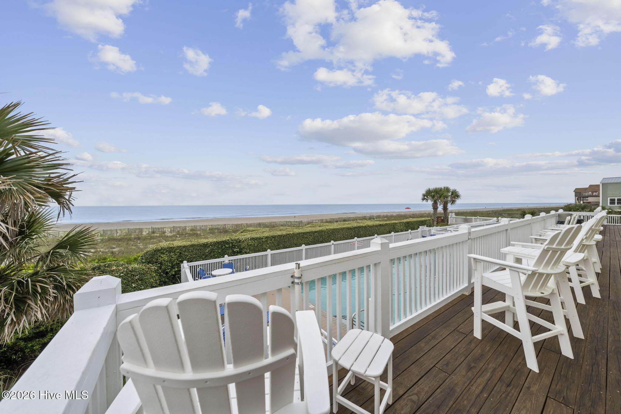 100560858 | Photo 93