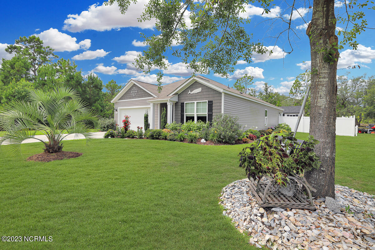 100522221 | Photo 32