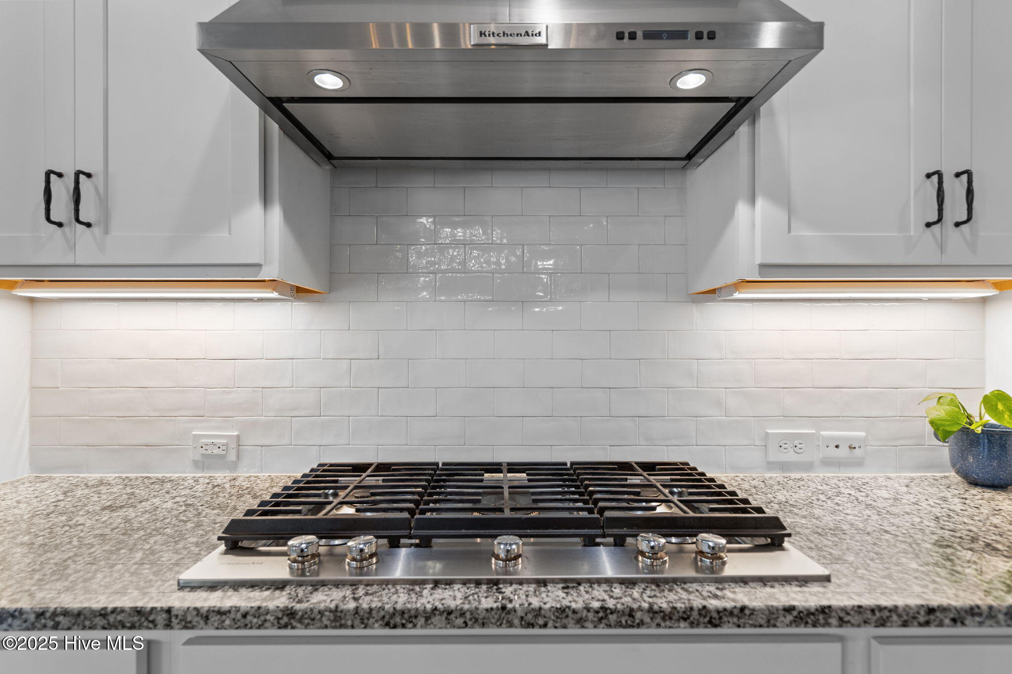 100536162 | Photo 18