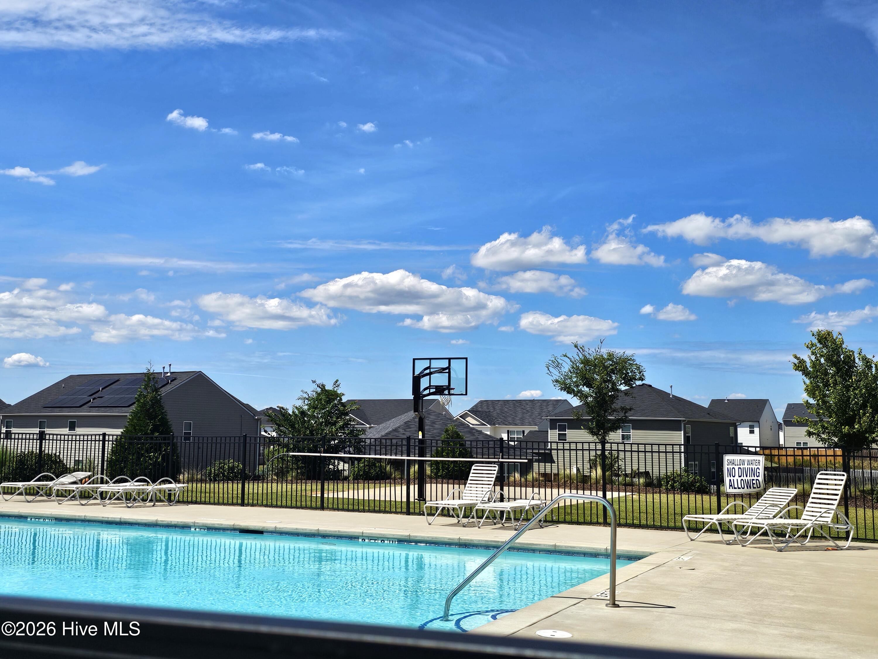 basketball area