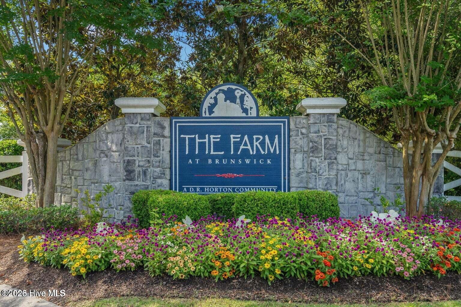 100564881 | Photo 42