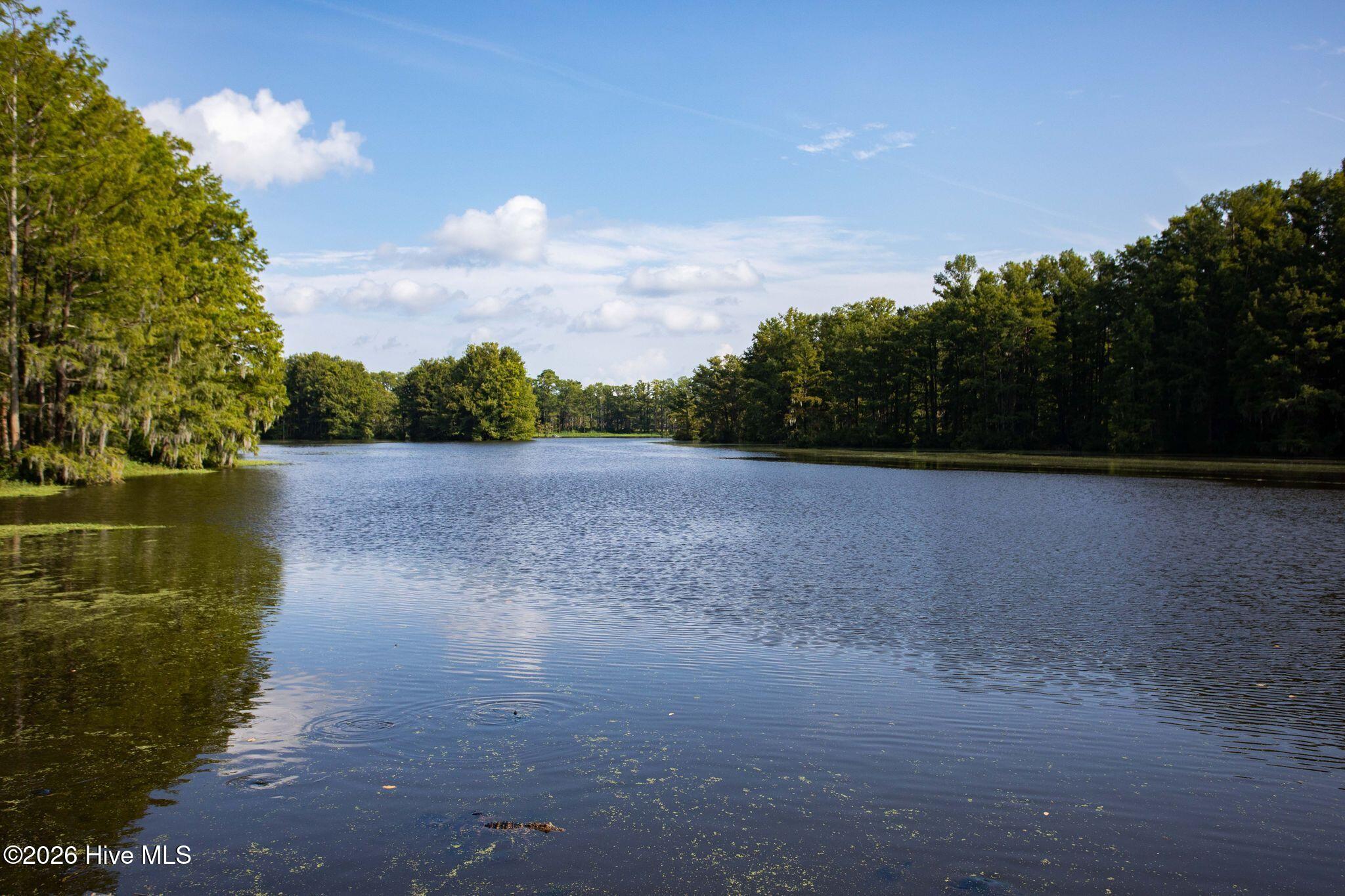 100570327 | Photo 73