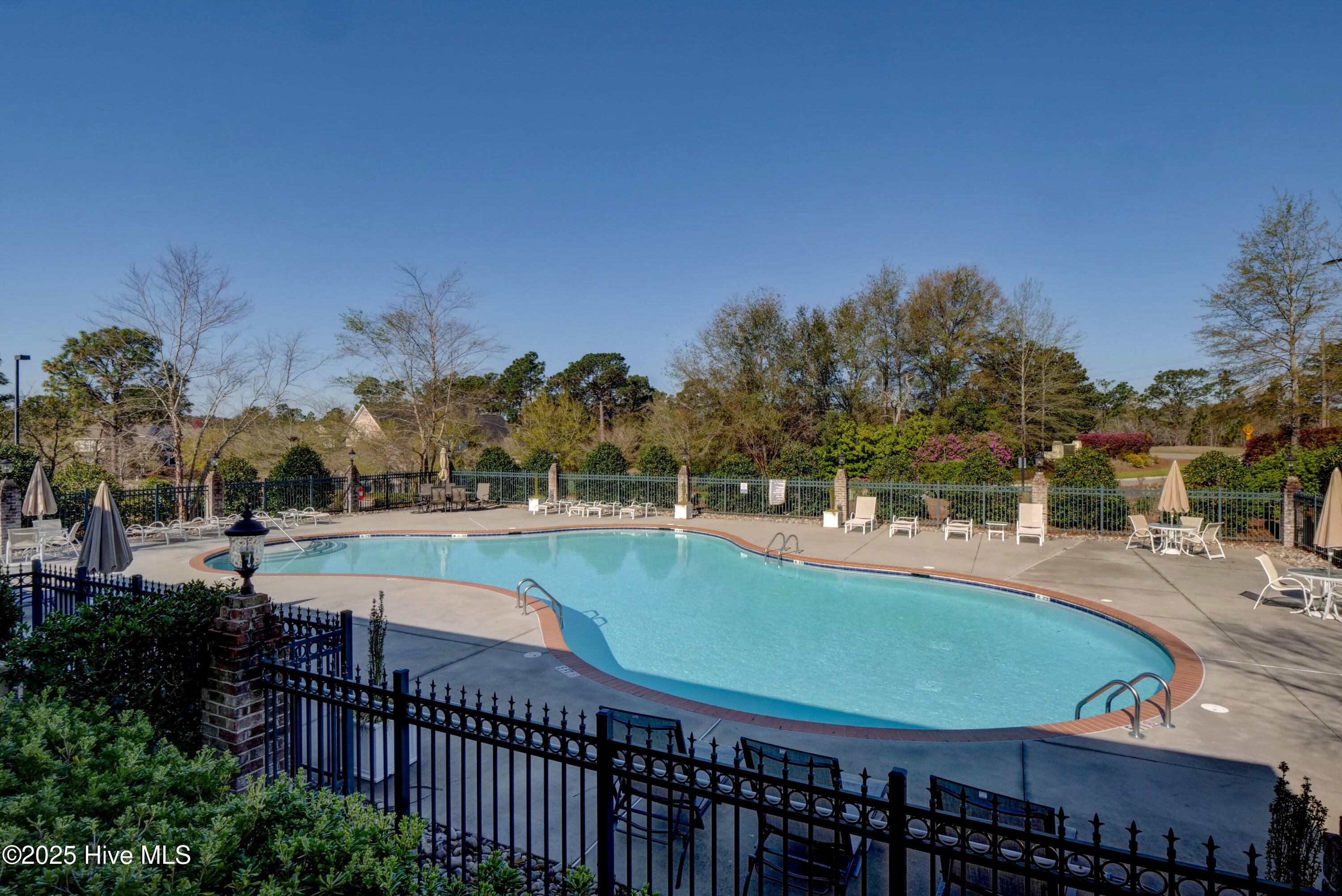 100519414 | Photo 64