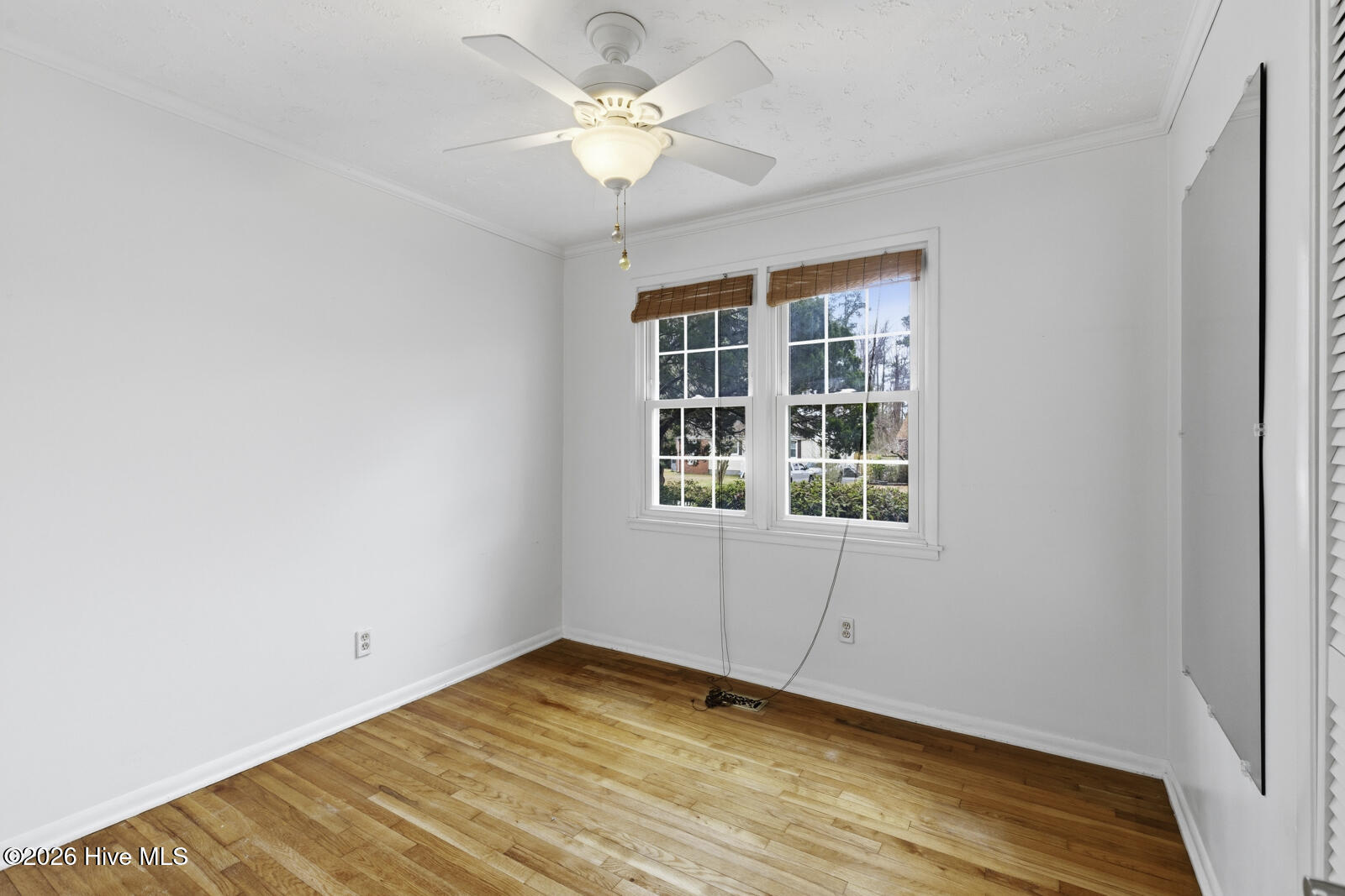 100558769 | Photo 15