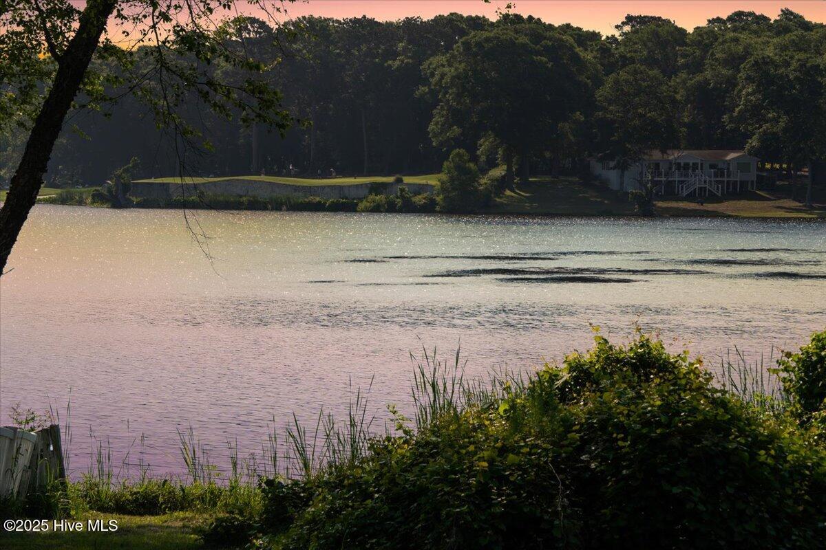 100507999 | Photo 13