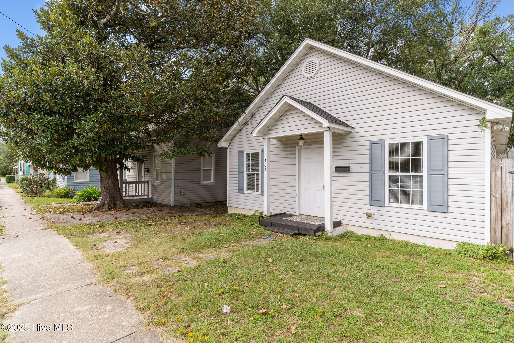 100534233 | Photo 27