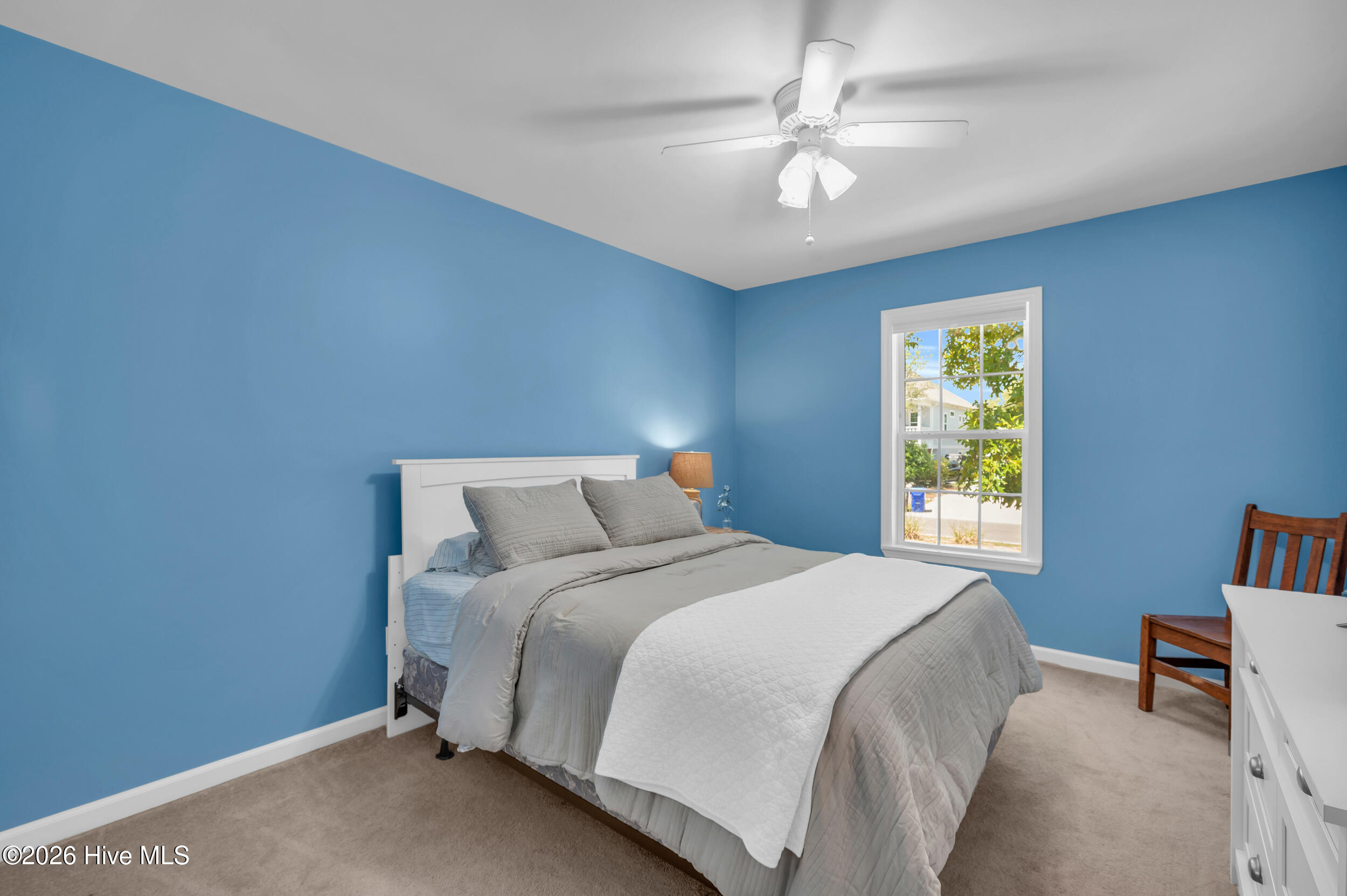 100565578 | Photo 26