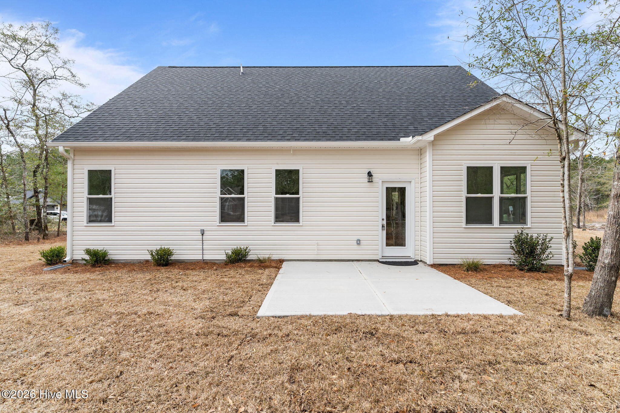 100558259 | Photo 43