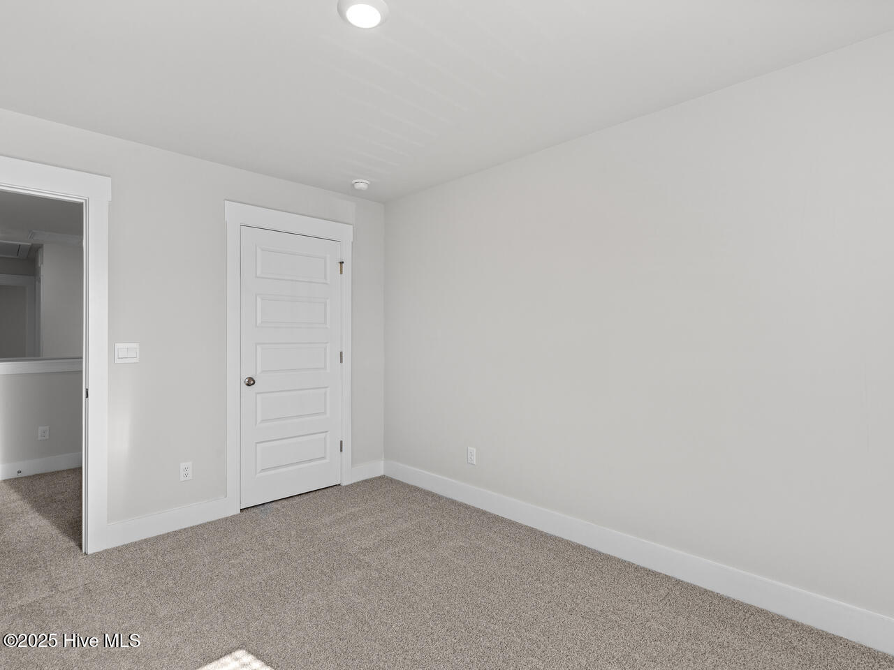 100539196 | Photo 25