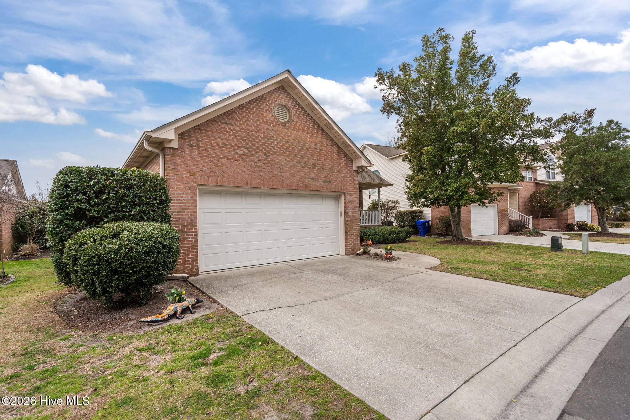 100557863 | Photo 42