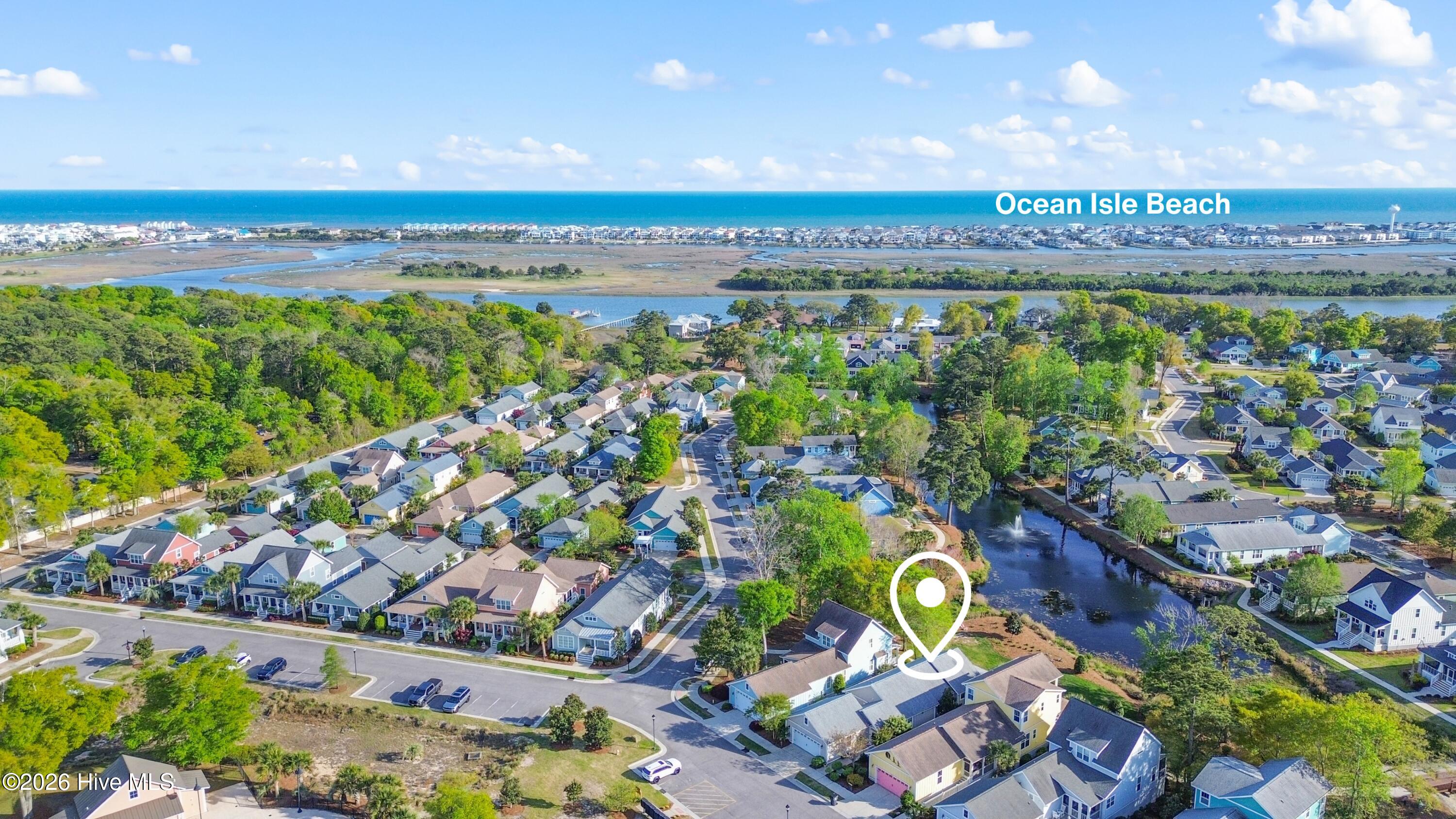 100567092 | Photo 30