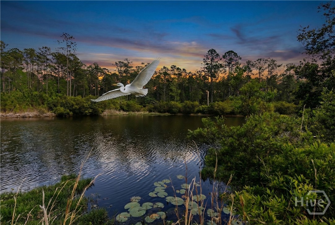 Homes for sale in Richmond Hill, GA | 432 Mandeville Dr, Richmond Hill, GA 31324 | MLS# SA329040