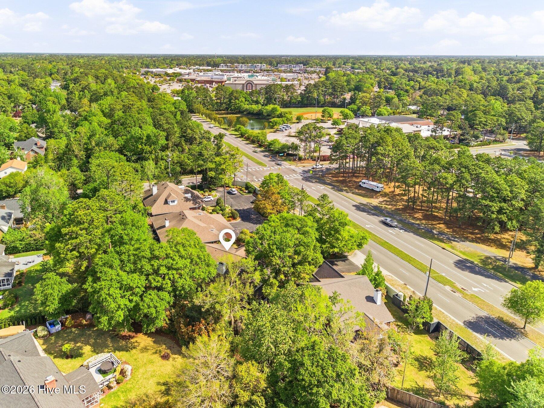 100566257 | Photo 39