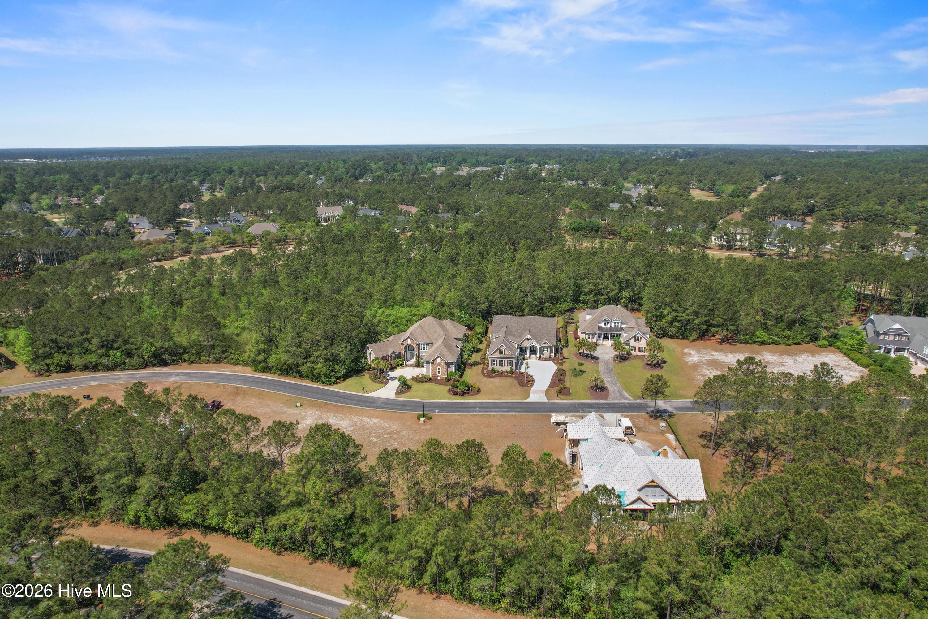 100570041 | Photo 11