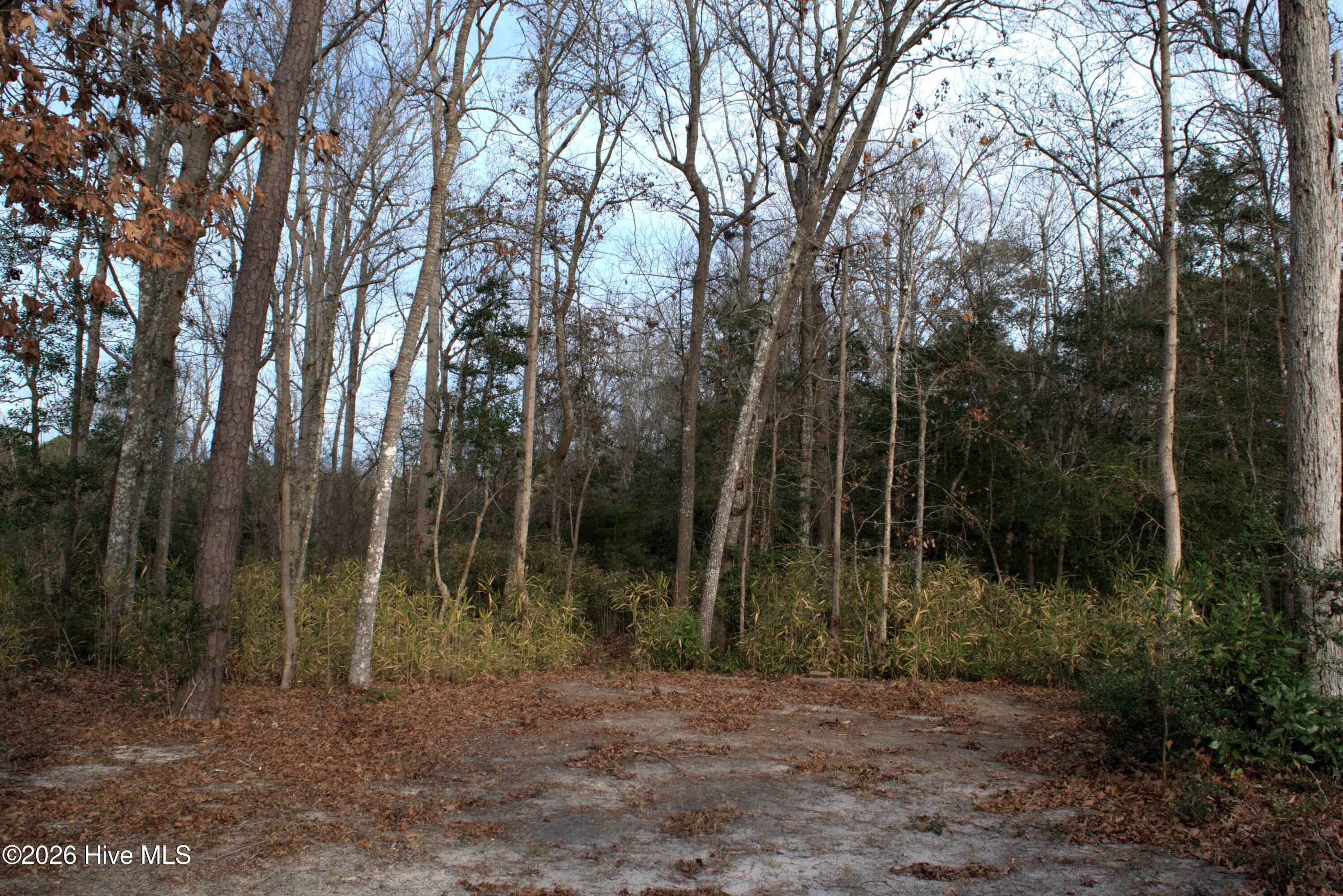 100548374 | Photo 23