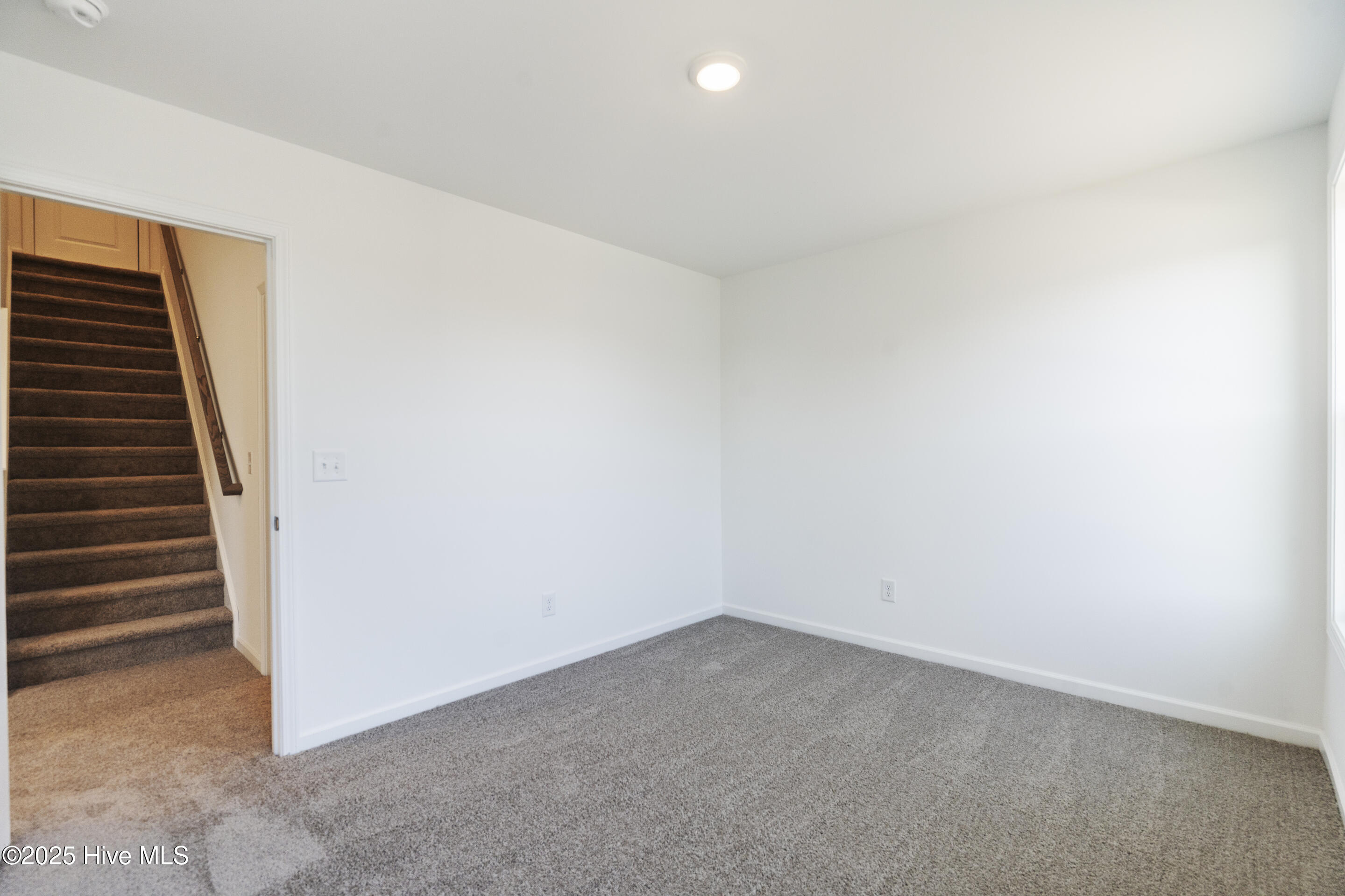 100486193 | Photo 38