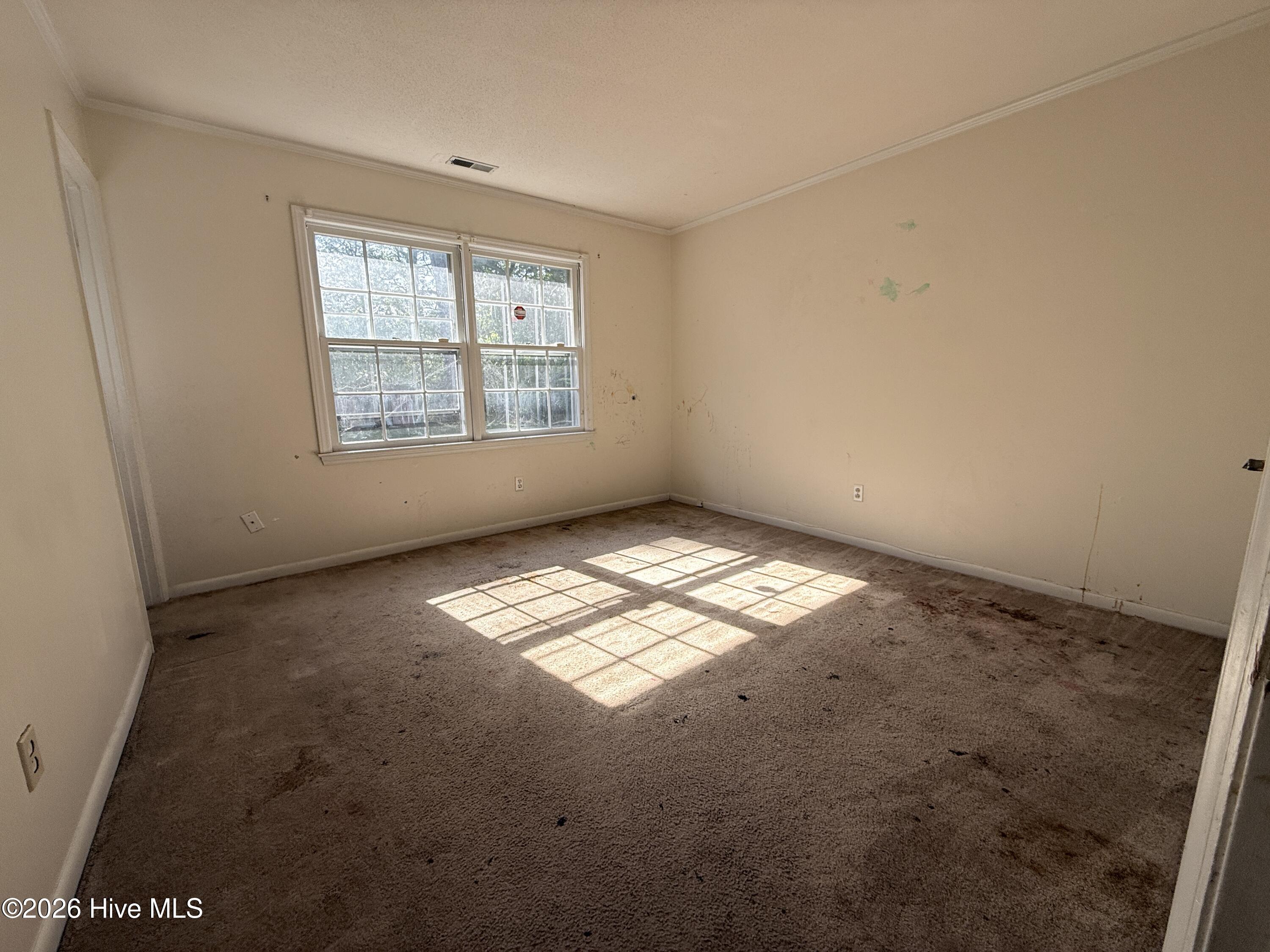 100567327 | Photo 12