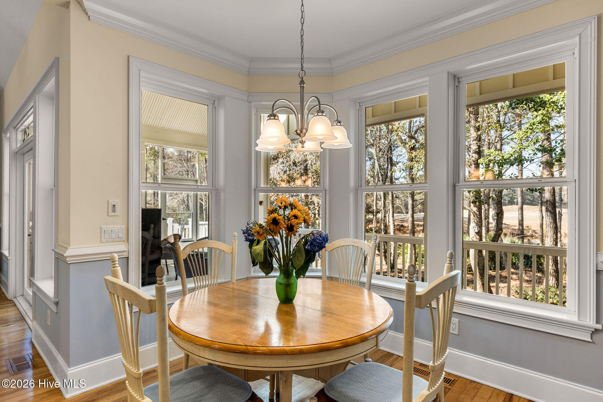 100557018 | Photo 28