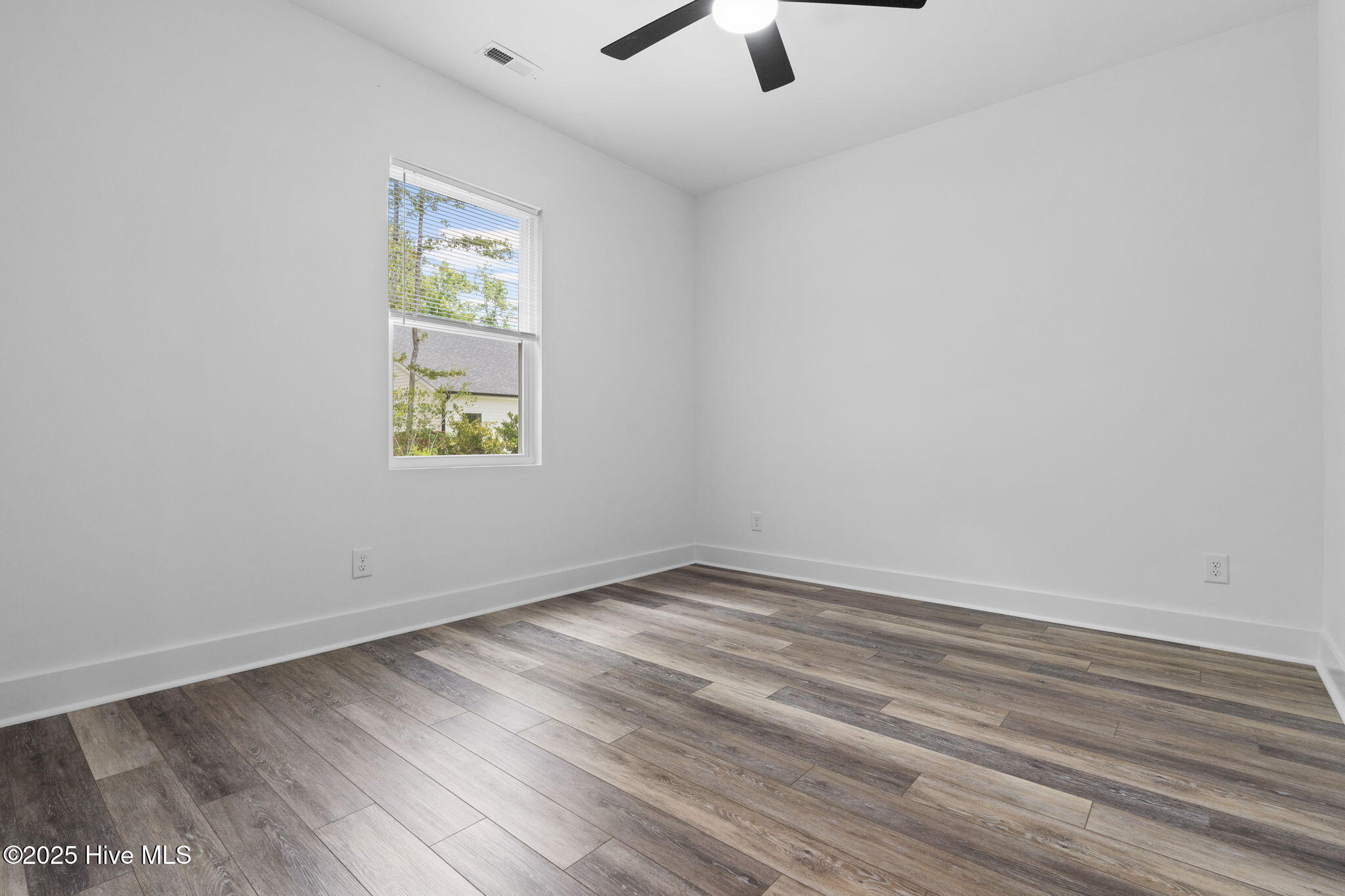 100539089 | Photo 24