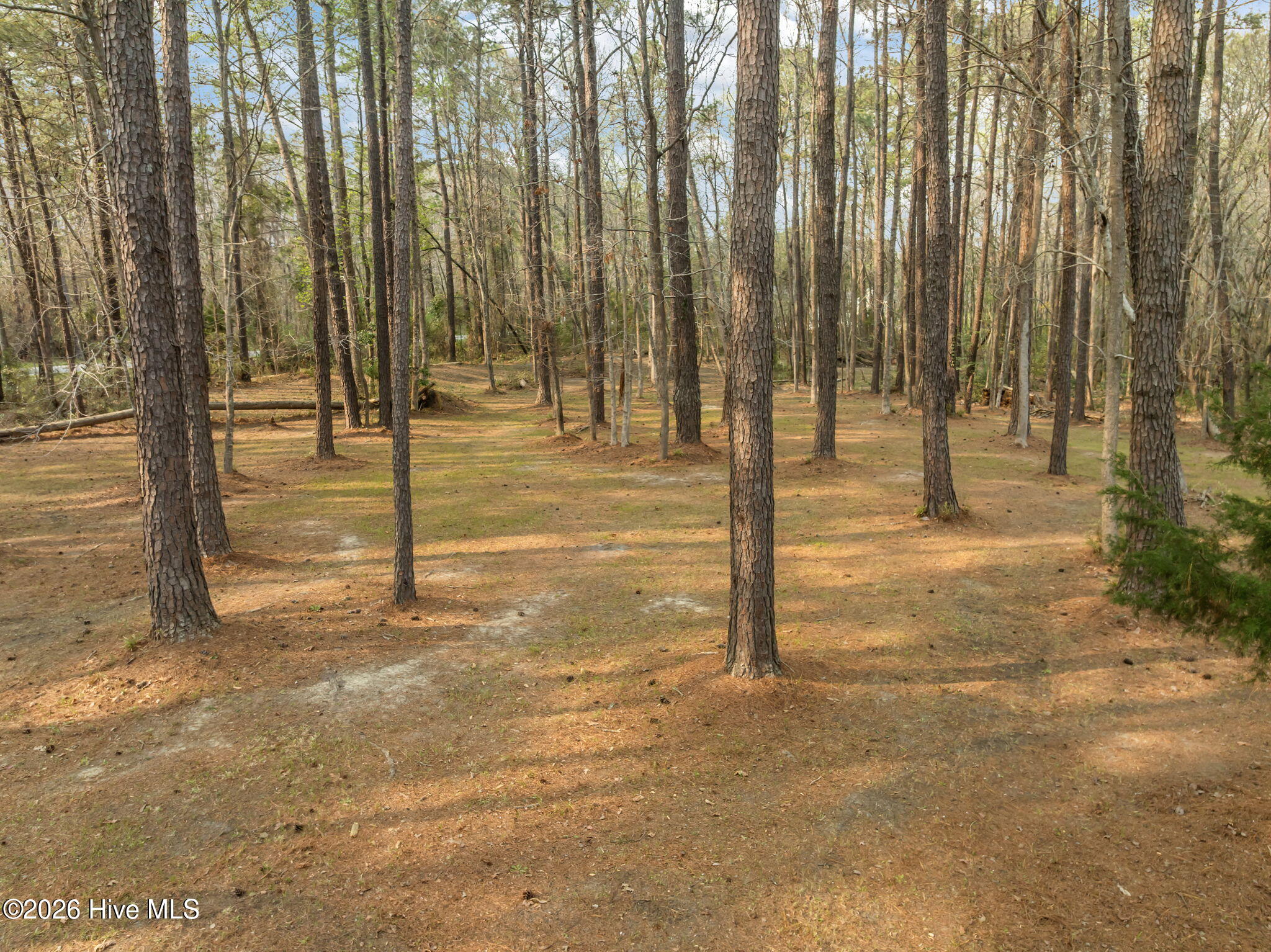 100562533 | Photo 65