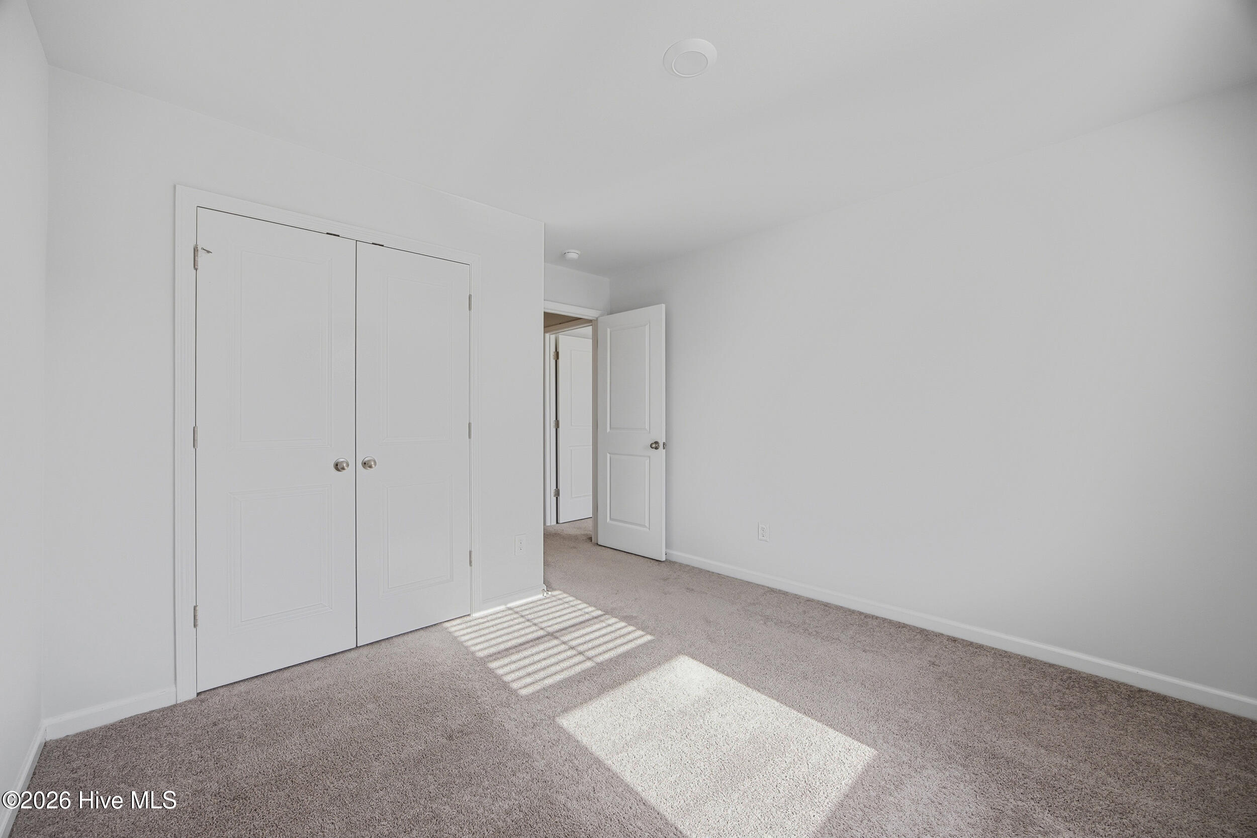 100566602 | Photo 24